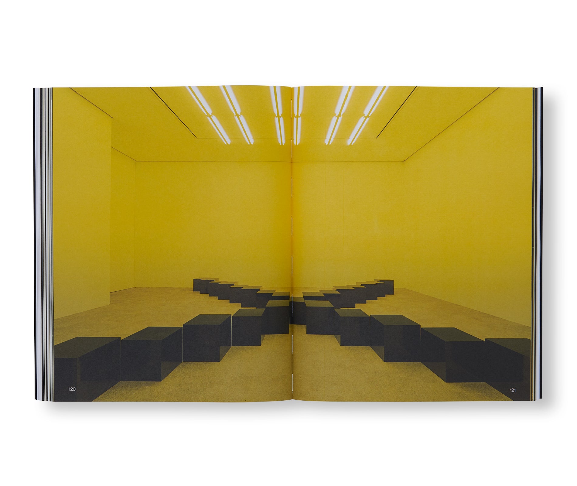 BRUCE NAUMAN (2021) by Bruce Nauman