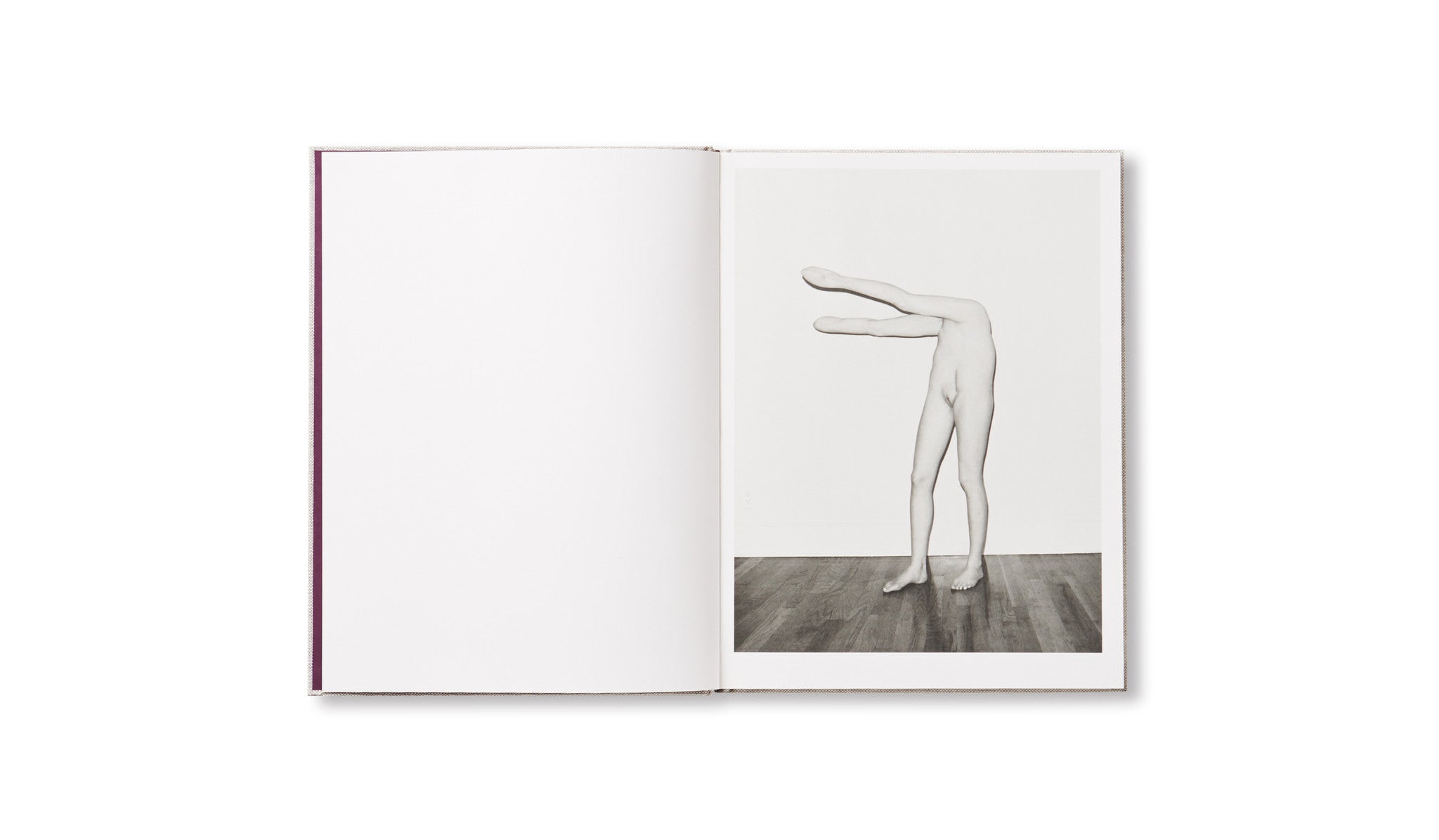 HESTER by Asger Carlsen [SIGNED]