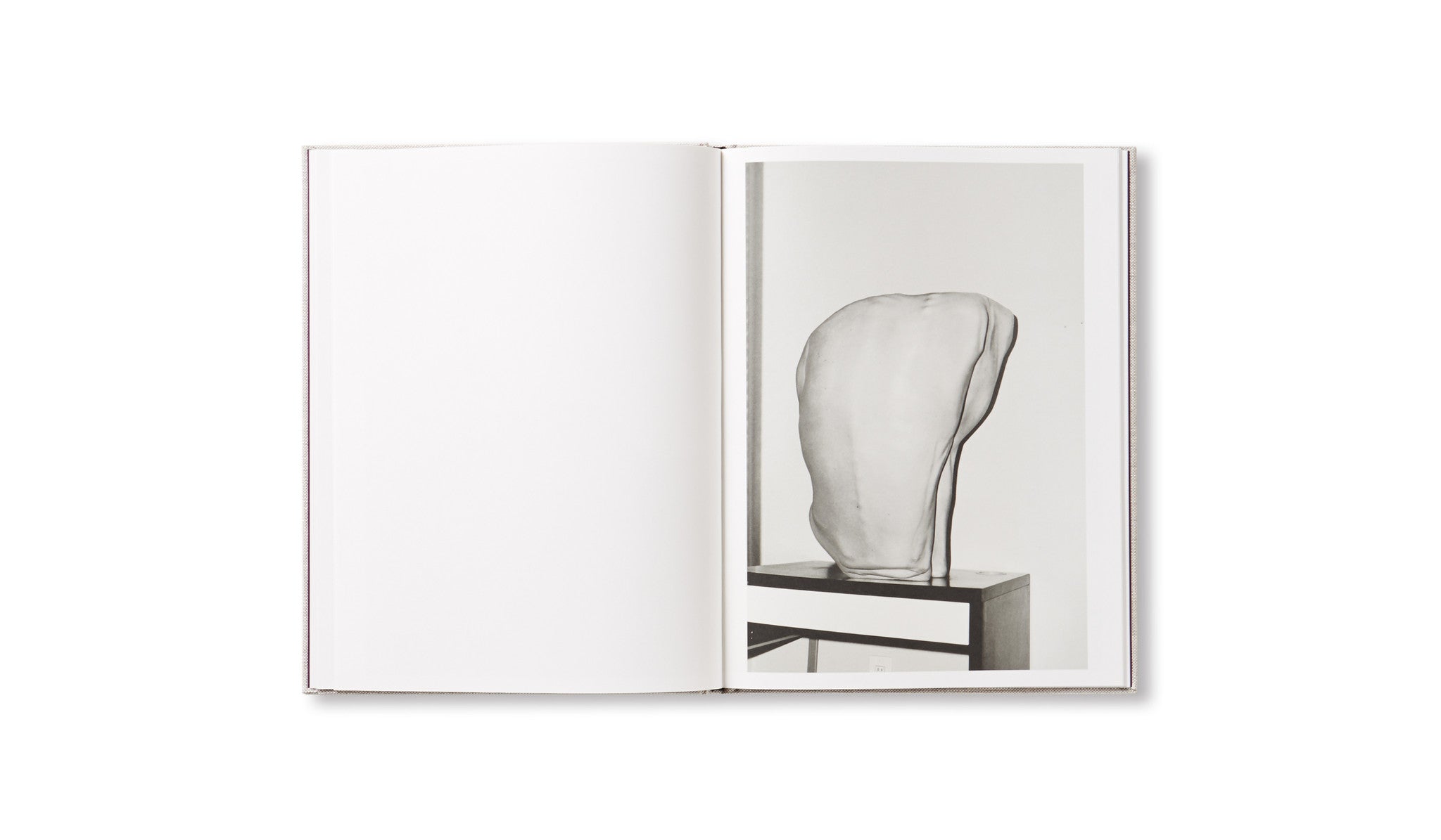 HESTER by Asger Carlsen [SIGNED]