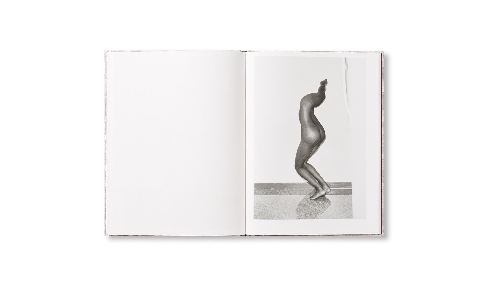 HESTER by Asger Carlsen [SIGNED]