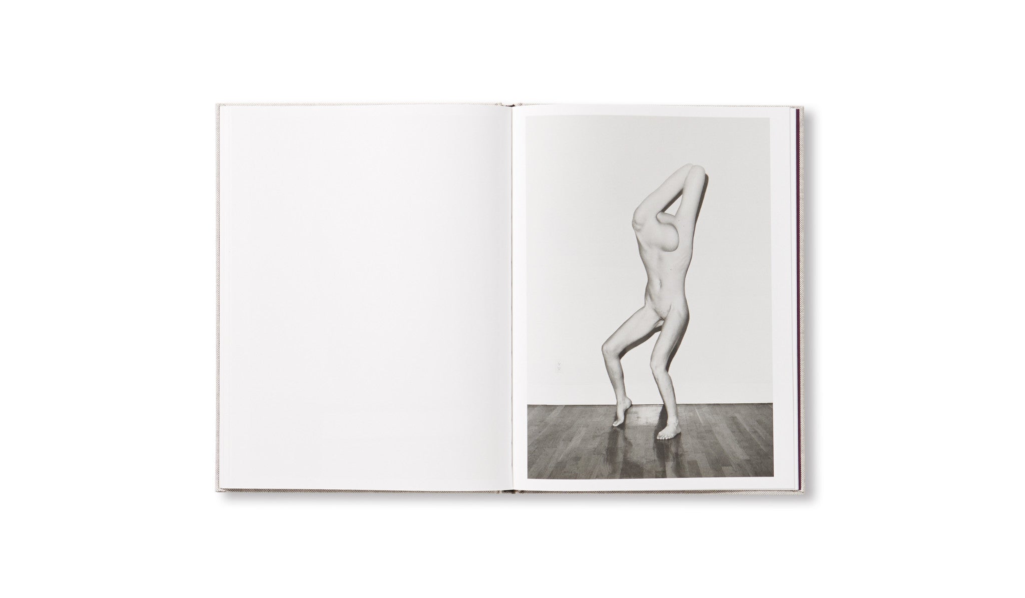 HESTER by Asger Carlsen [SIGNED]