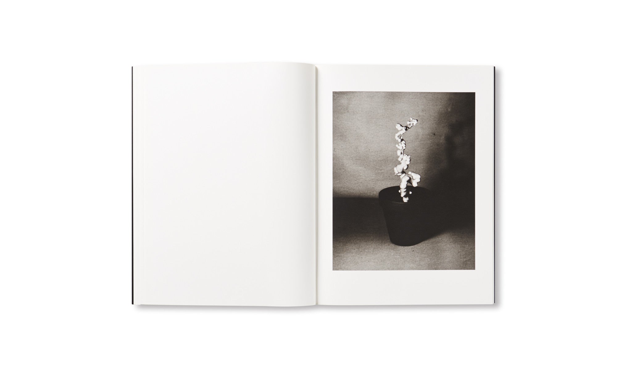 LIGHT OF OTHER DAYS by Taiyo Onorato & Nico Krebs