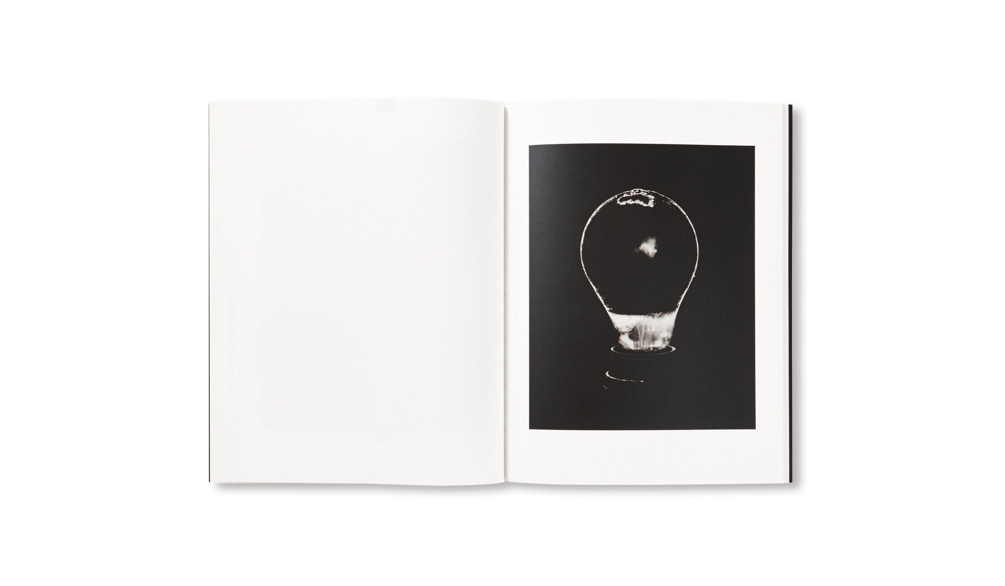 LIGHT OF OTHER DAYS by Taiyo Onorato & Nico Krebs