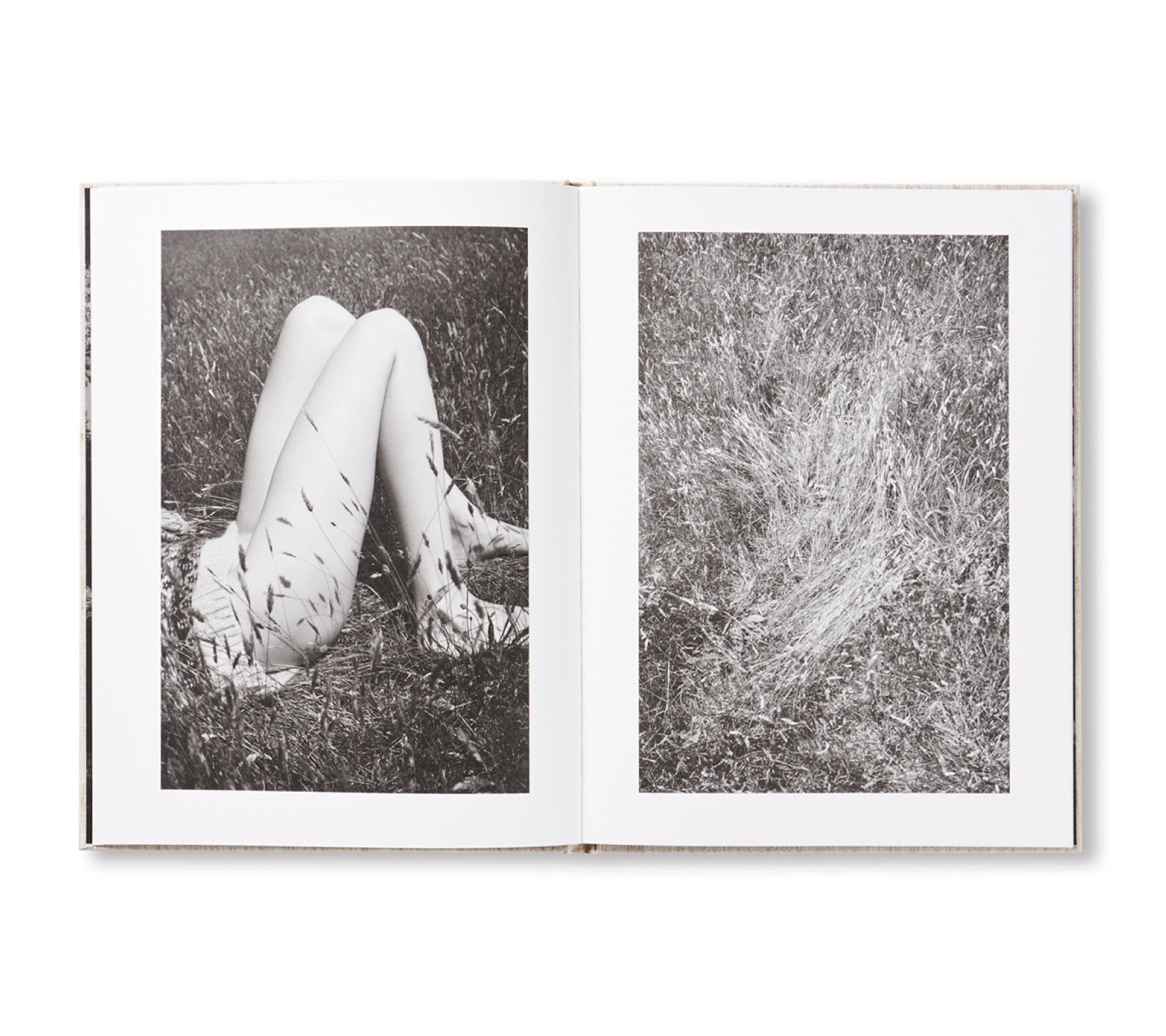 SOL & LUNA by Viviane Sassen [SECOND EDITION]