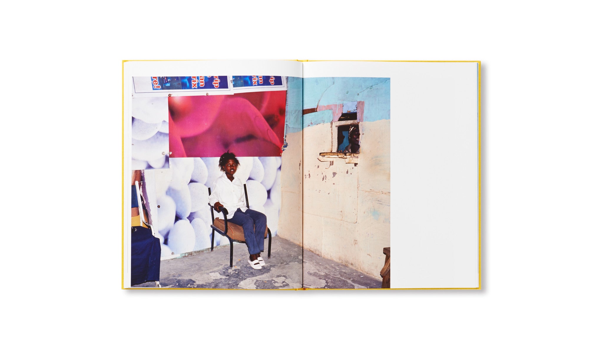 DIE SON SIEN ALLES by Viviane Sassen [SECOND EDITION]