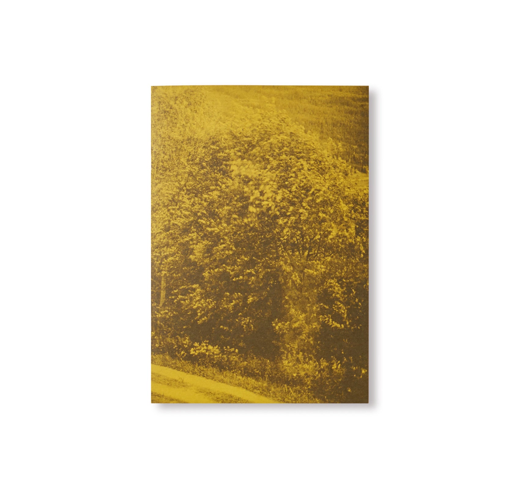 DISTANCE (PICTURES FOR AN UNTOLD STORY) by Ola Rindal [SIGNED]