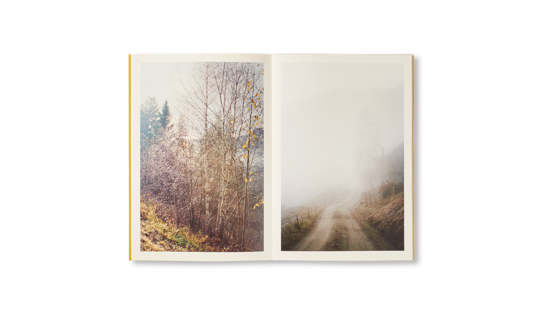 DISTANCE (PICTURES FOR AN UNTOLD STORY) by Ola Rindal [SIGNED]