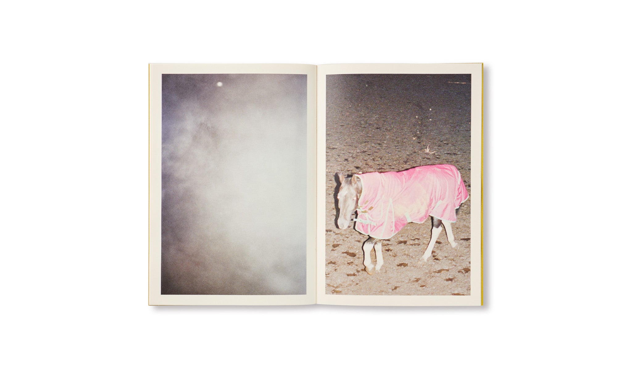 DISTANCE (PICTURES FOR AN UNTOLD STORY) by Ola Rindal [SPECIAL EDITION - A]