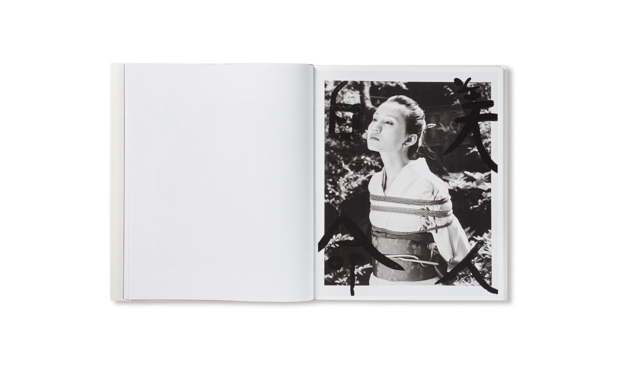 MARVELOUS TALES OF BLACK INK by Nobuyoshi Araki