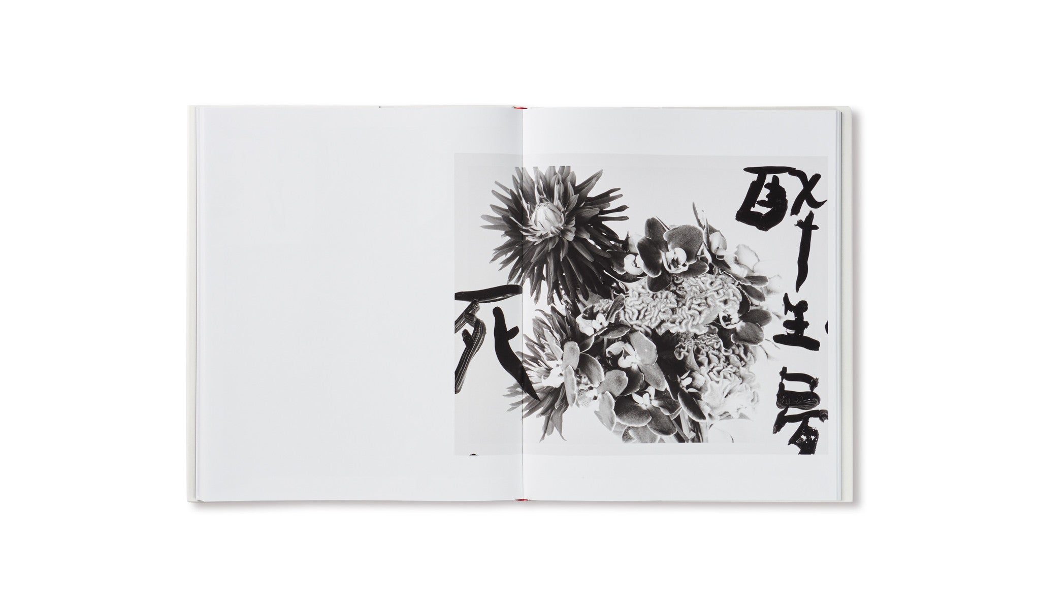 MARVELOUS TALES OF BLACK INK by Nobuyoshi Araki