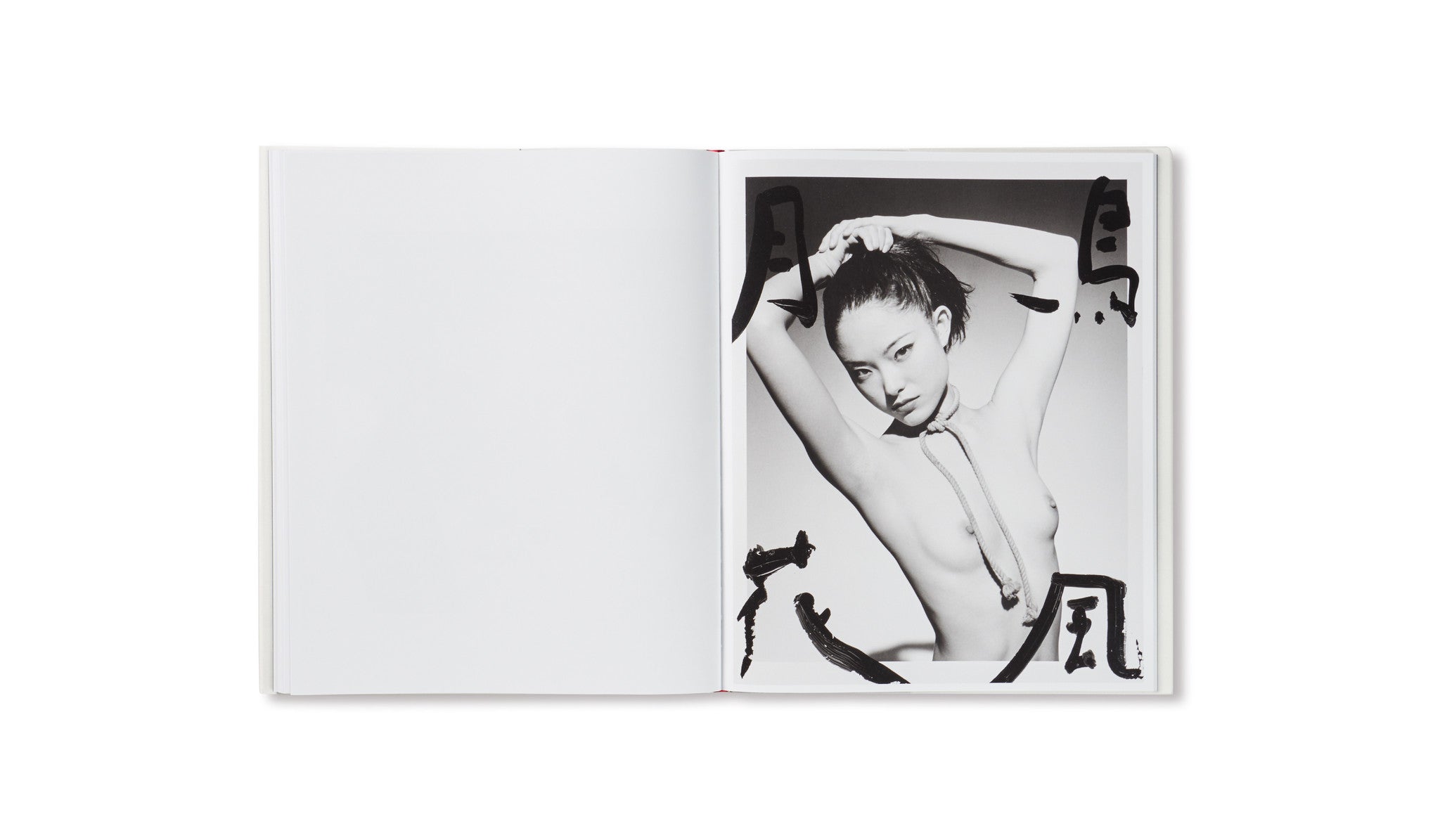 MARVELOUS TALES OF BLACK INK by Nobuyoshi Araki