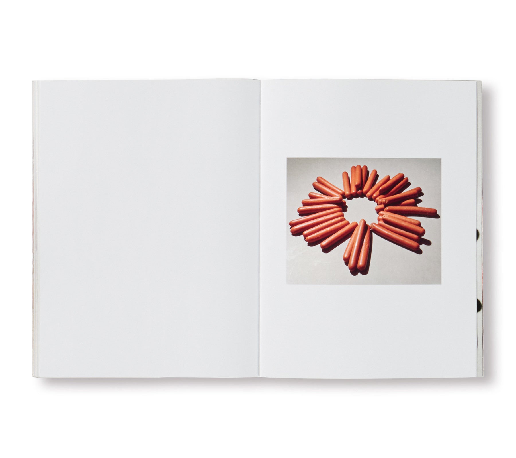 SPBH BOOK CLUB VOL.VII by Lucas Blalock [SIGNED]