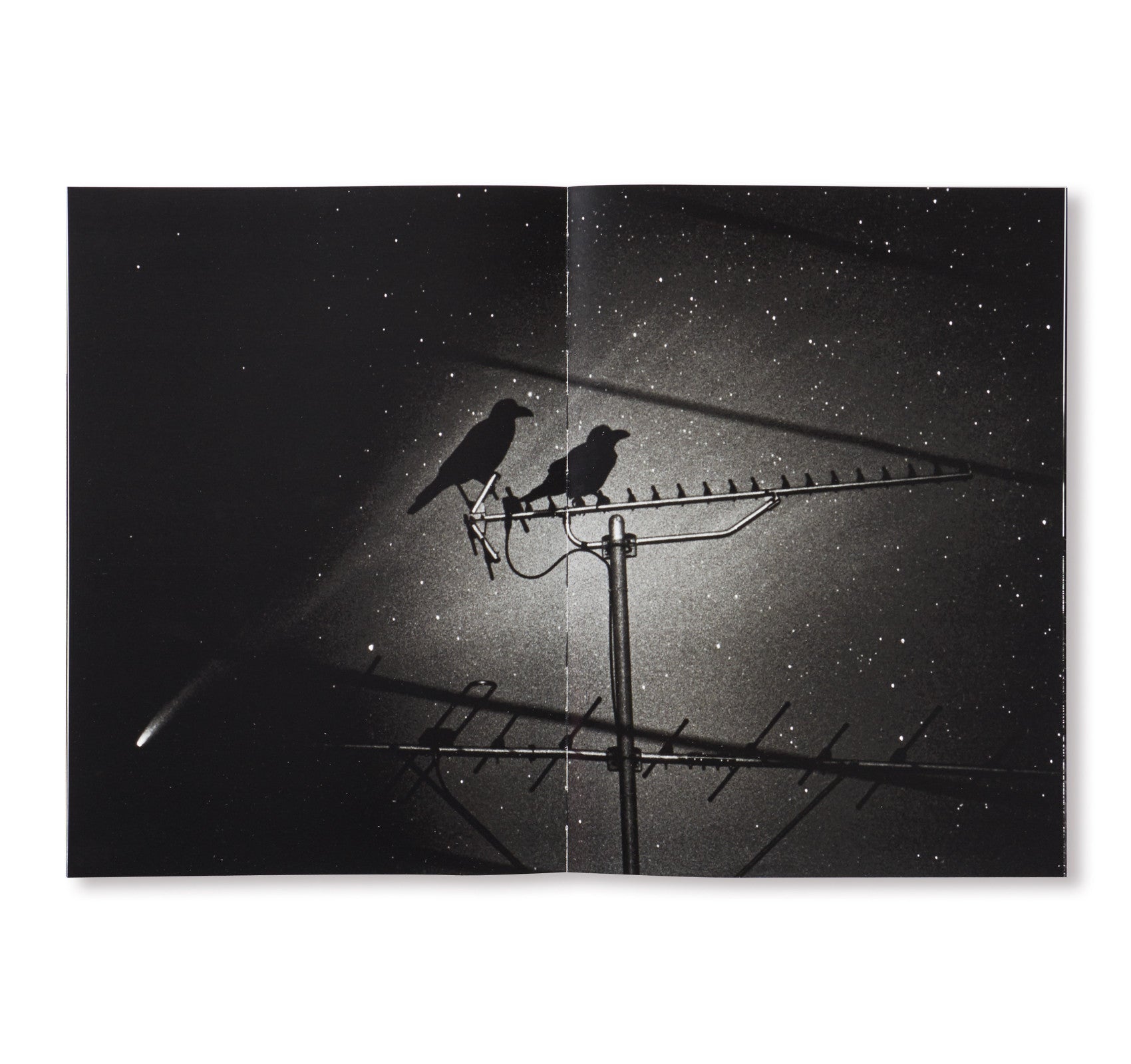 THE LAST COSMOLOGY by Kikuji Kawada