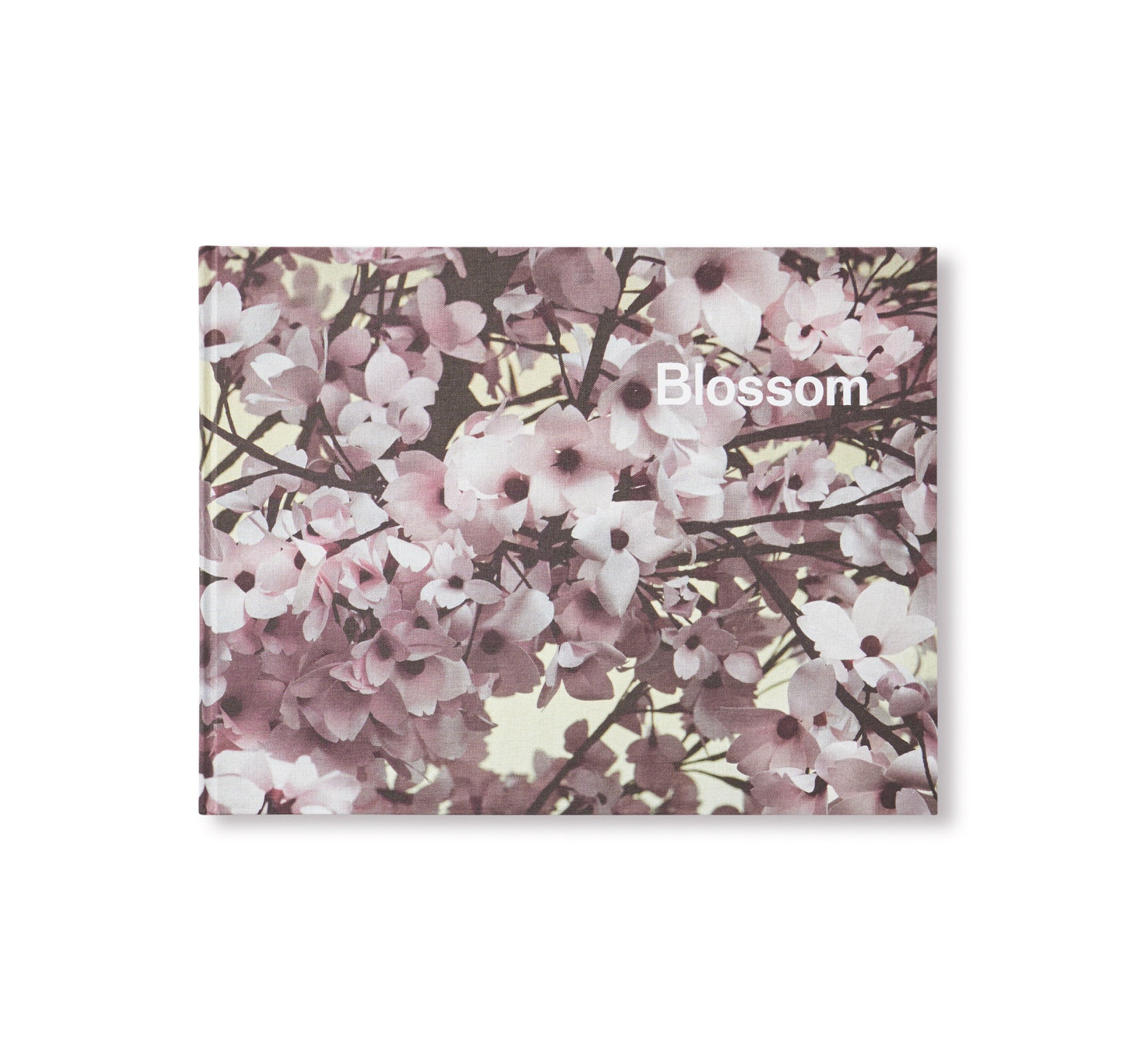 BLOSSOM by Thomas Demand & Ben Lerner [SIGNED]