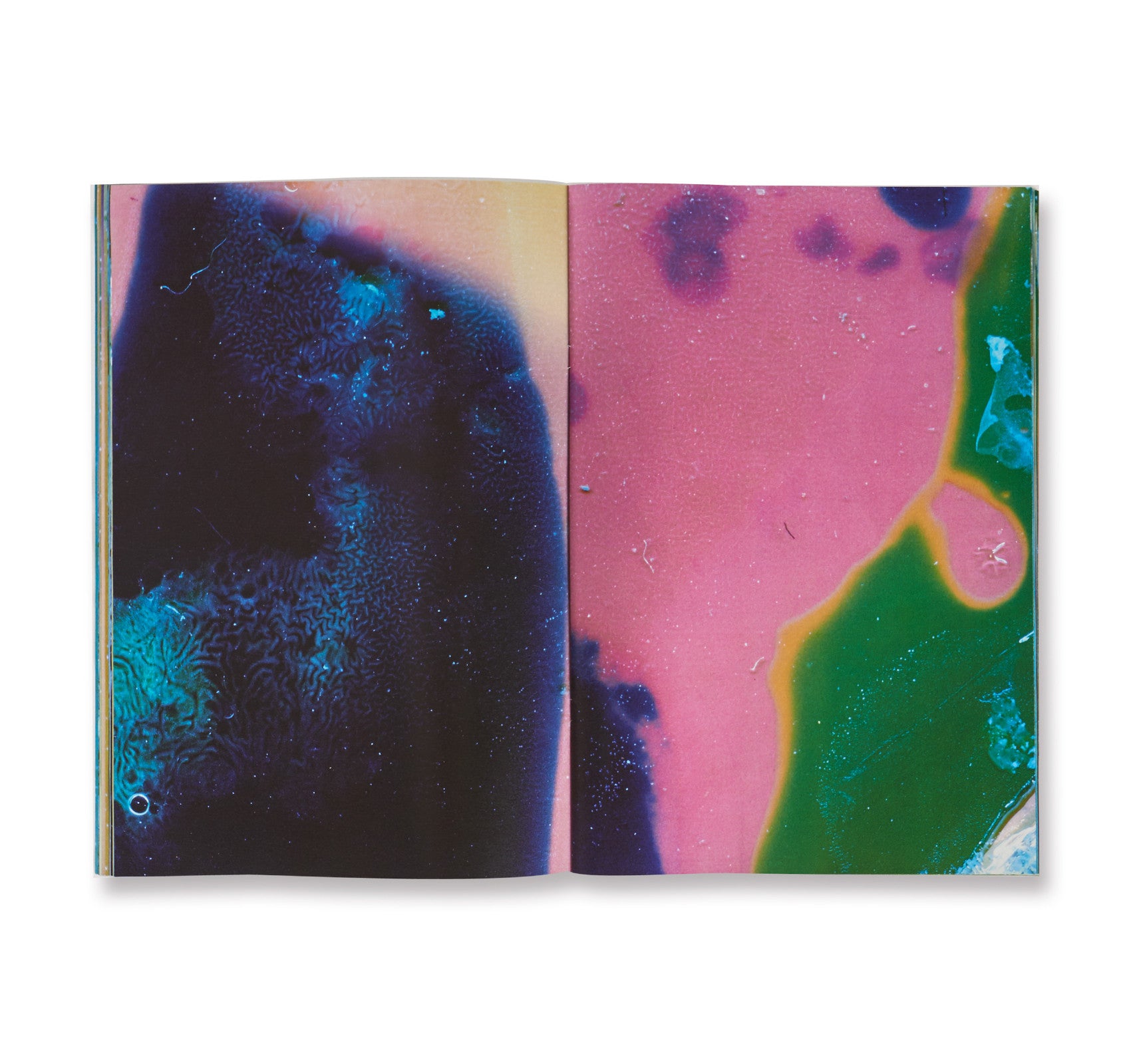 CELL TYPE D by Daisuke Yokota