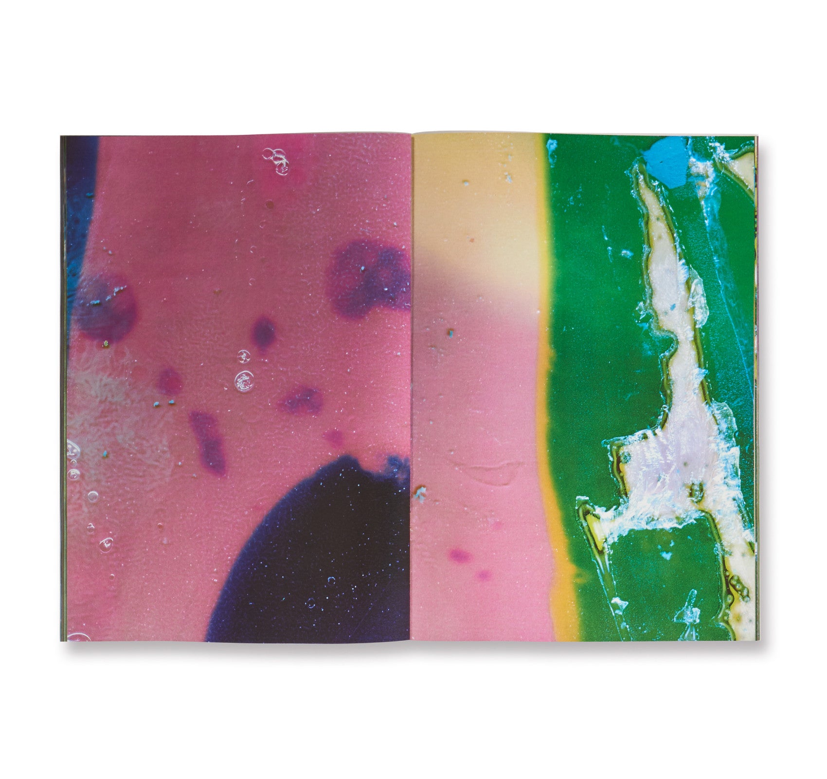 CELL TYPE D by Daisuke Yokota