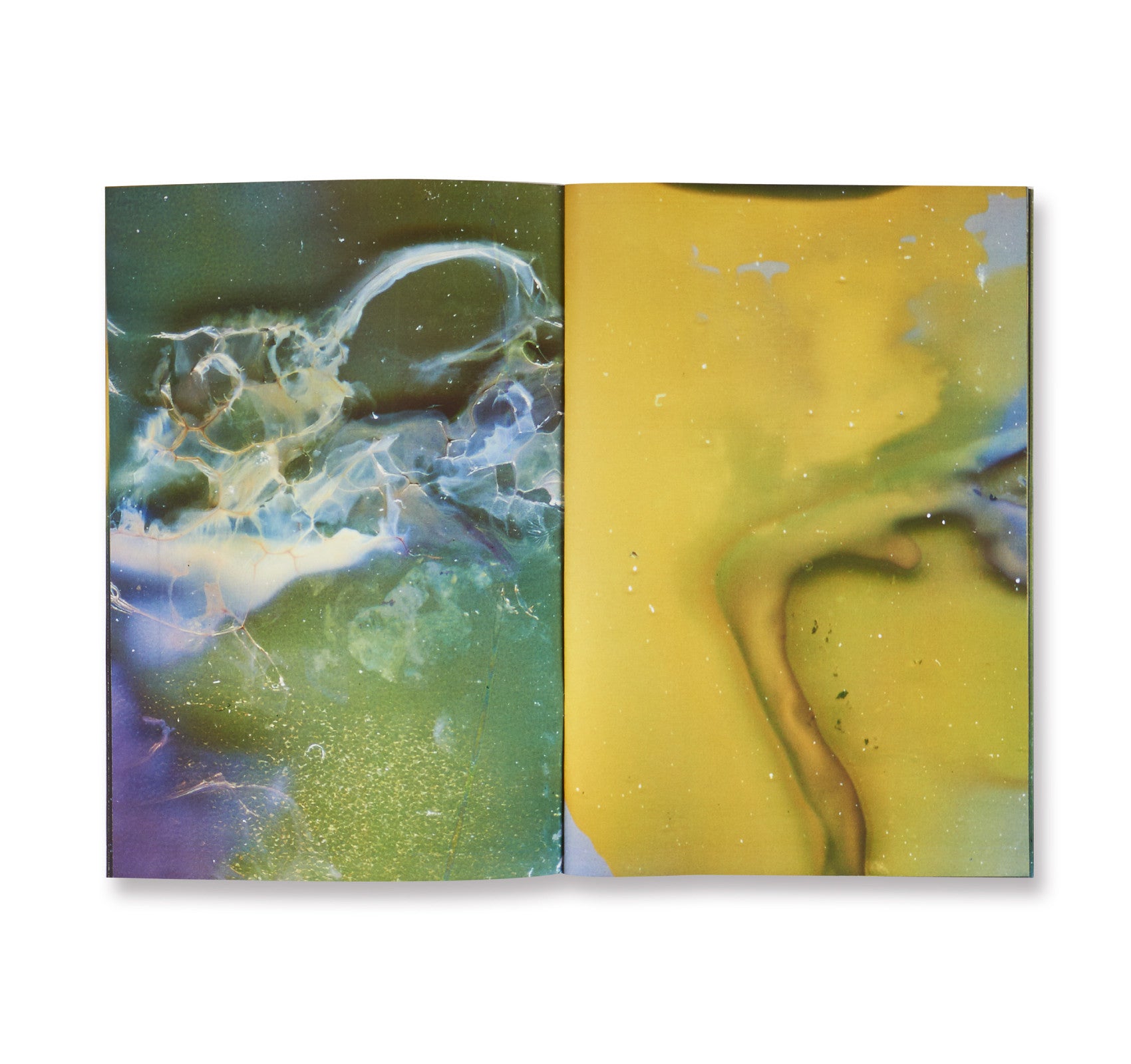 CELL TYPE C by Daisuke Yokota