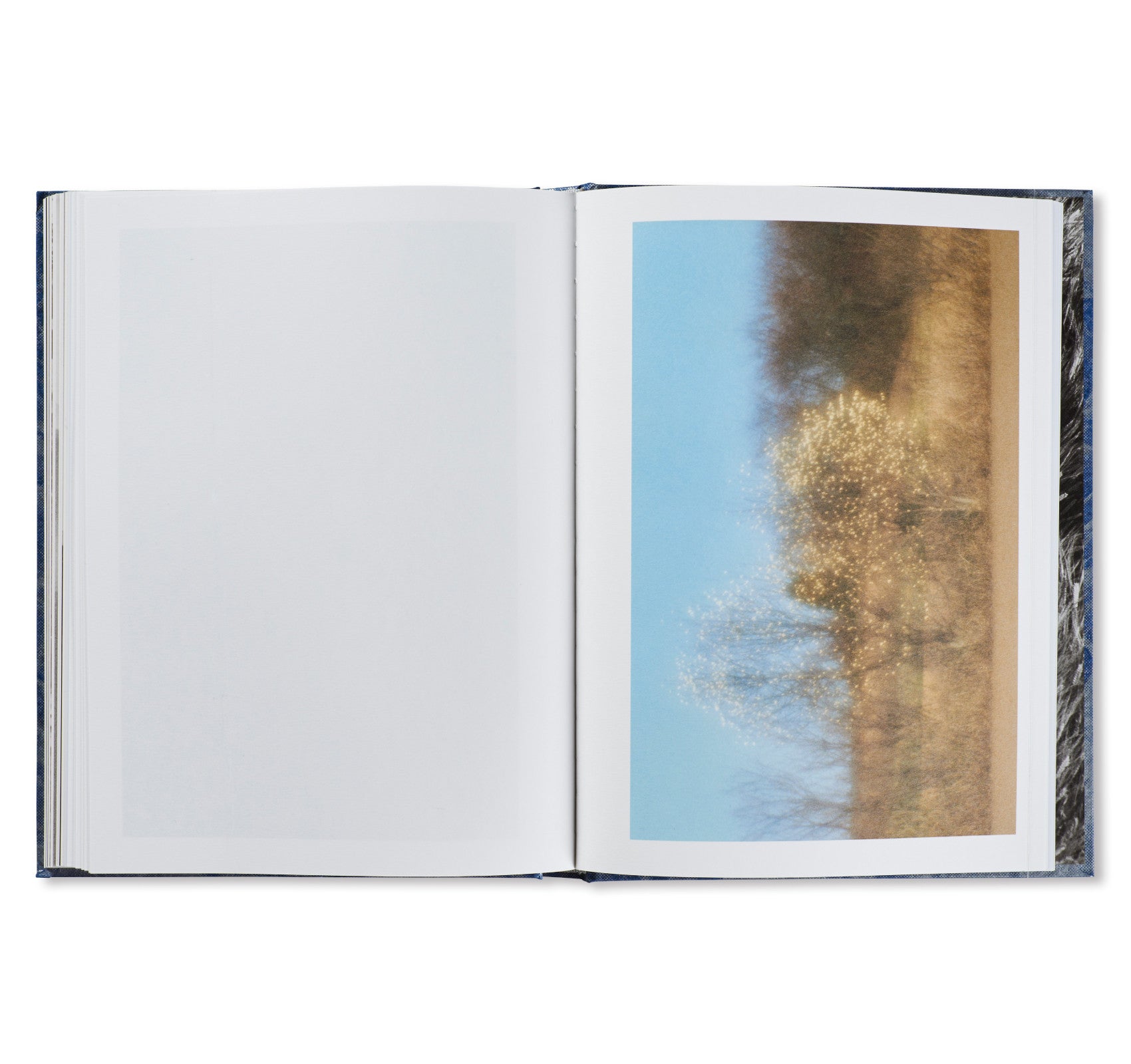 SHOJI UEDA by Shoji Ueda [SECOND EDITION / DAMAGED]