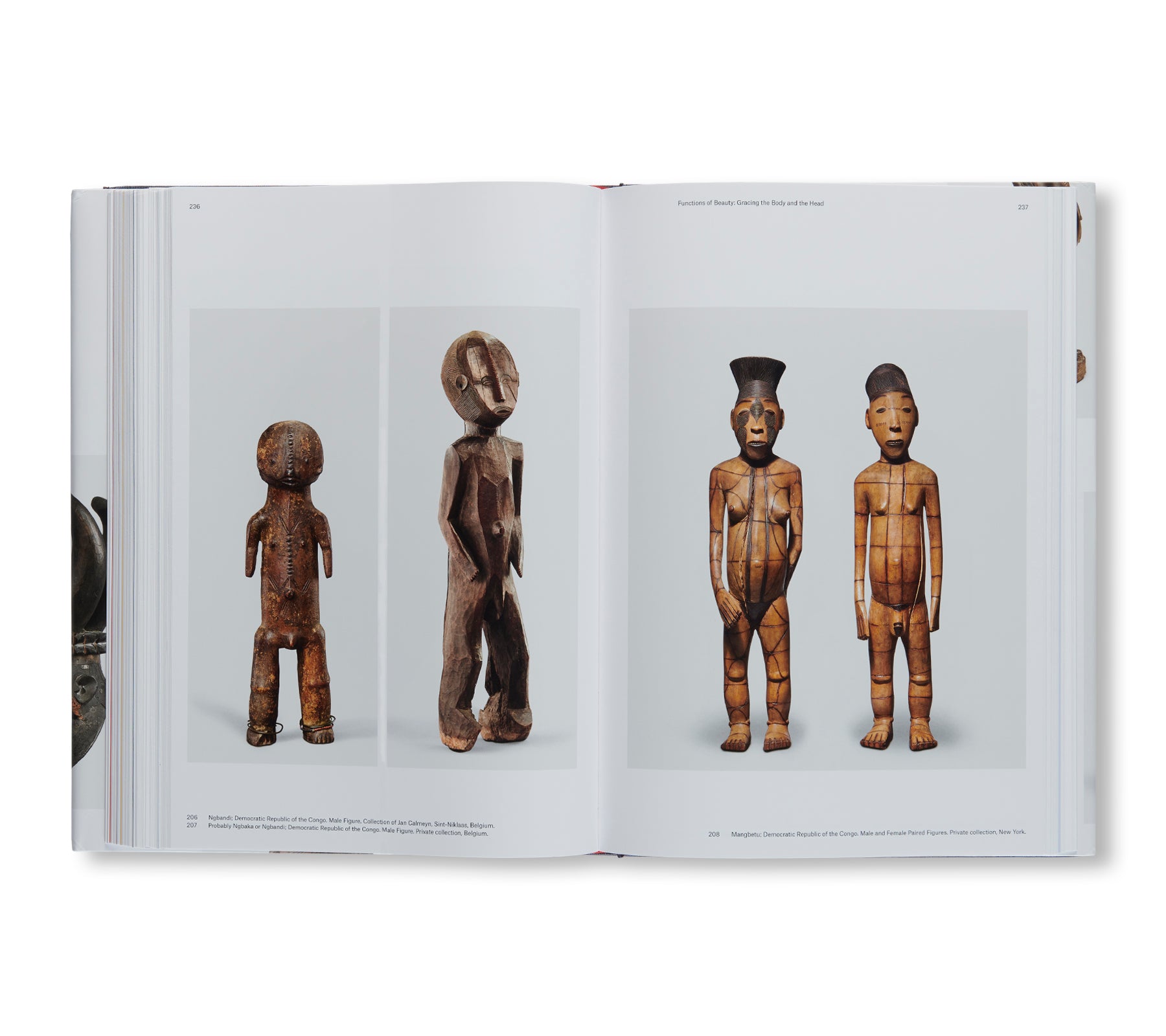 THE LANGUAGE OF BEAUTY IN AFRICAN ART