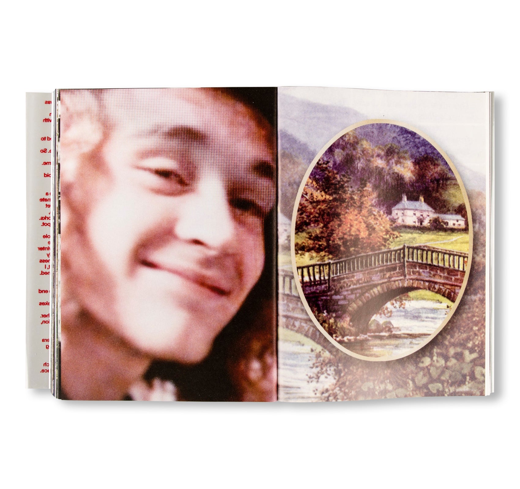 THE LAST SURVIVOR IS THE FIRST SUSPECT by Nick Haymes [SPECIAL EDITION]