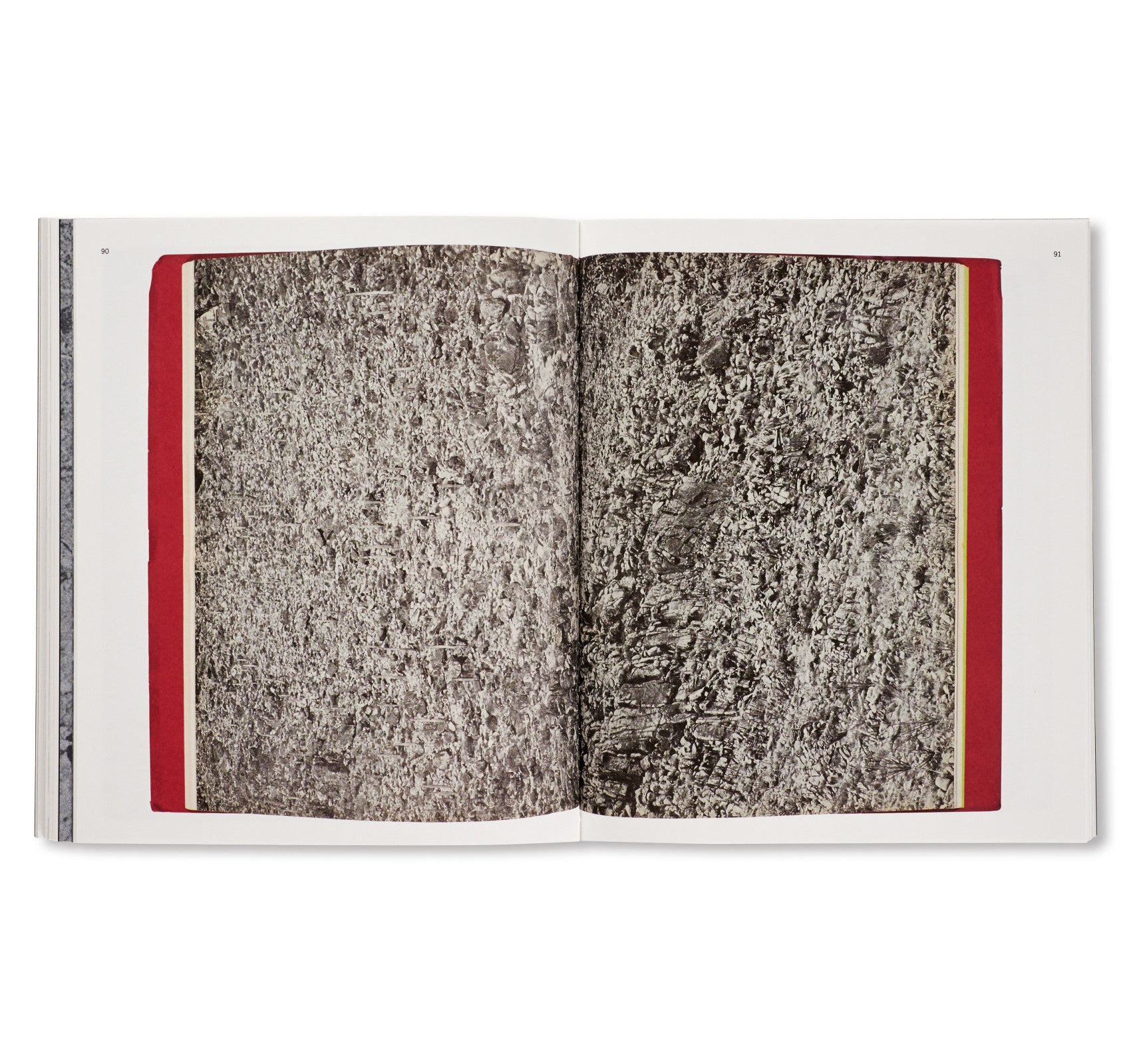 A HANDFUL OF DUST by David Campany [SECOND EDITION]