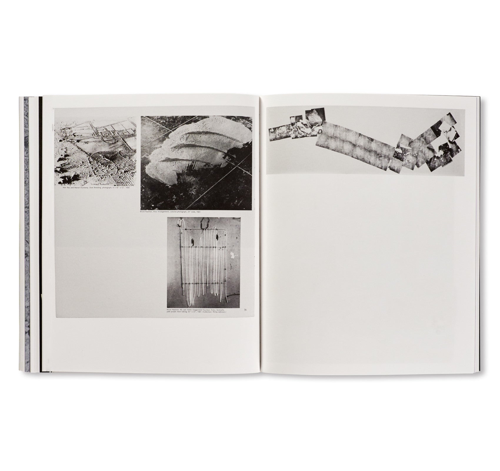 A HANDFUL OF DUST by David Campany [SECOND EDITION]