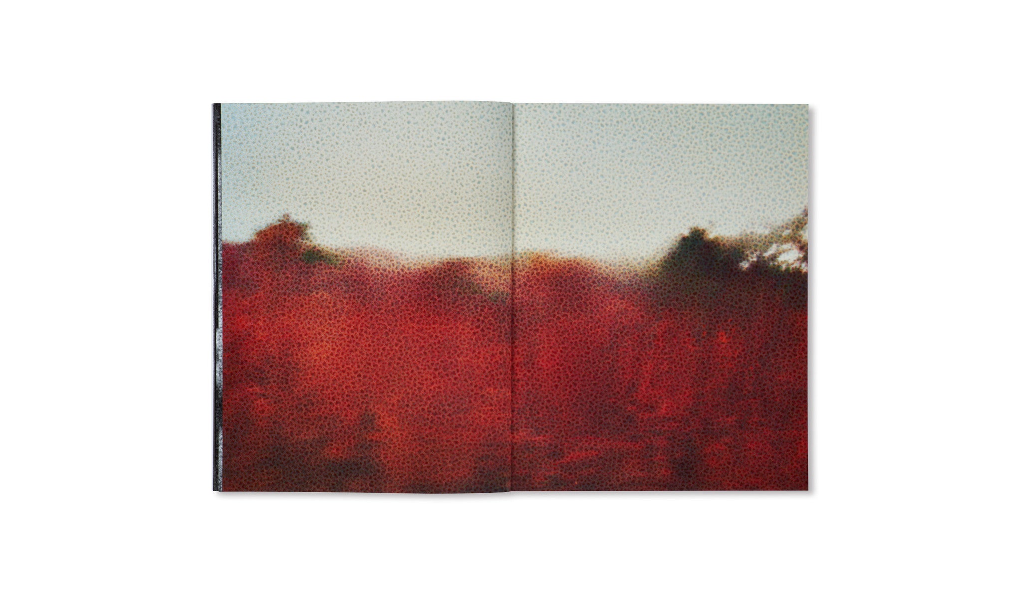 TARATINE by Daisuke Yokota