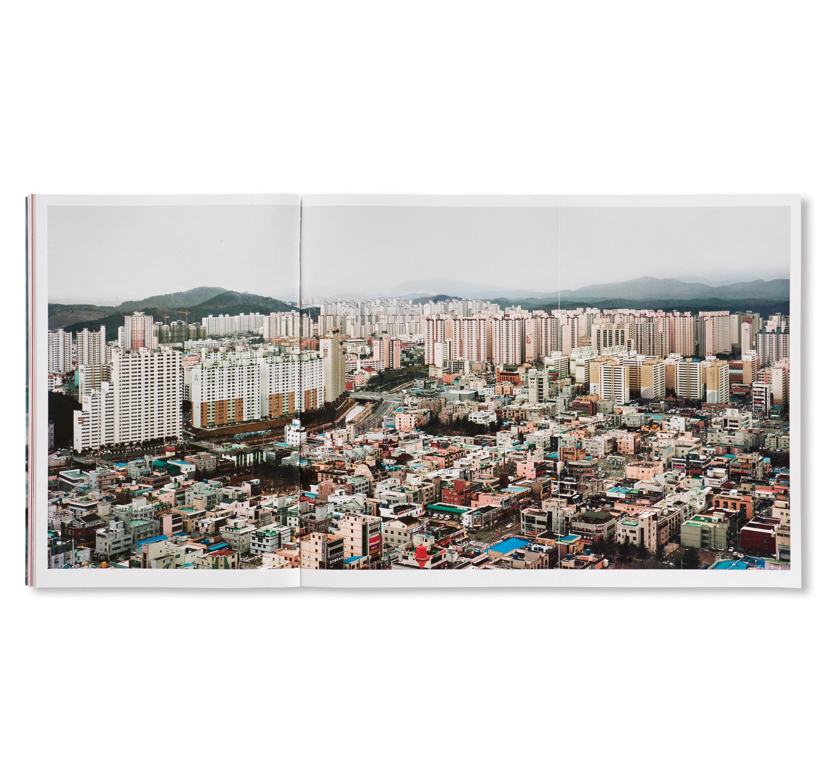 NATURE & POLITICS by Thomas Struth