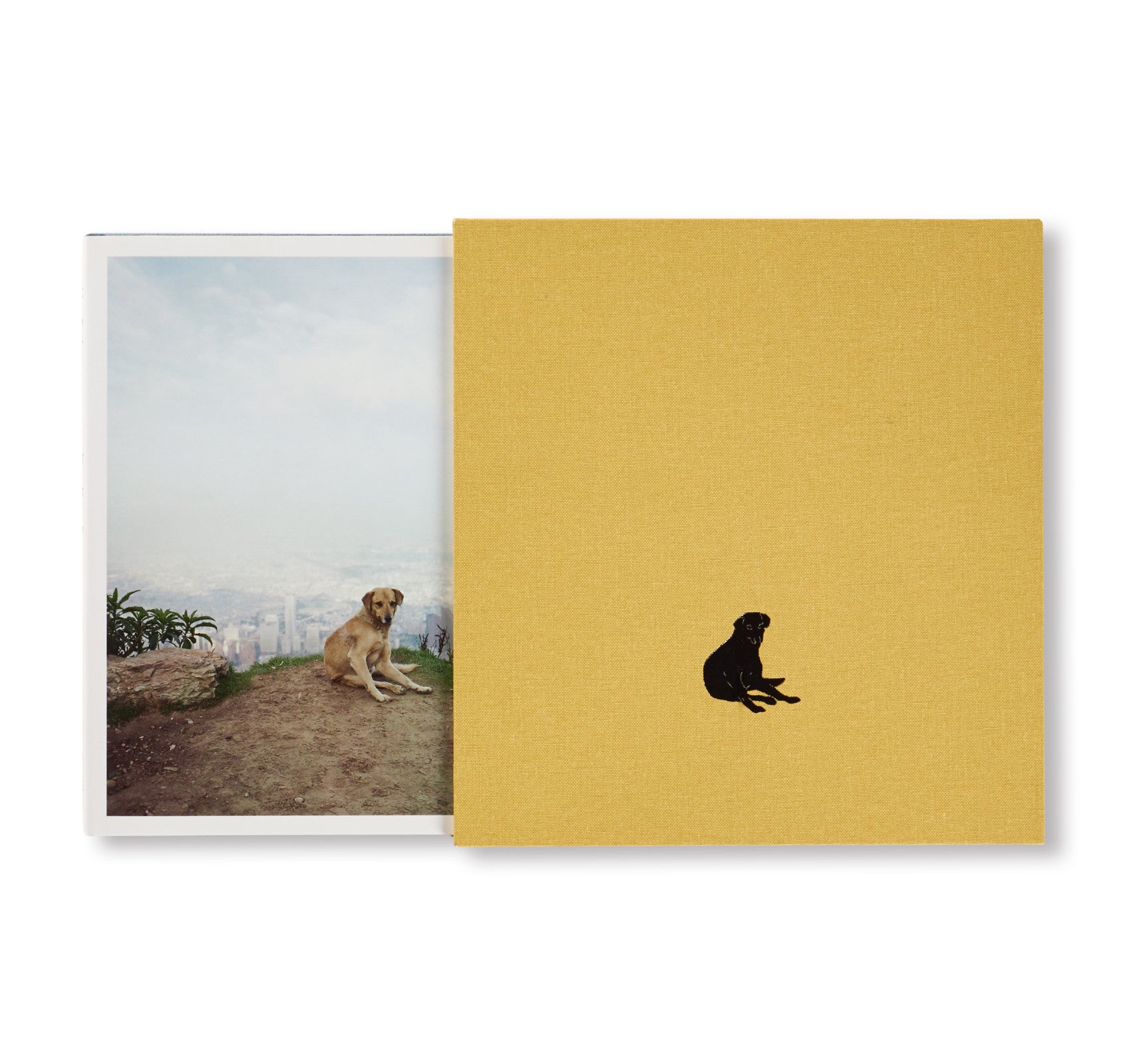 DOG DAYS BOGOTÁ by Alec Soth [SPECIAL EDITION]