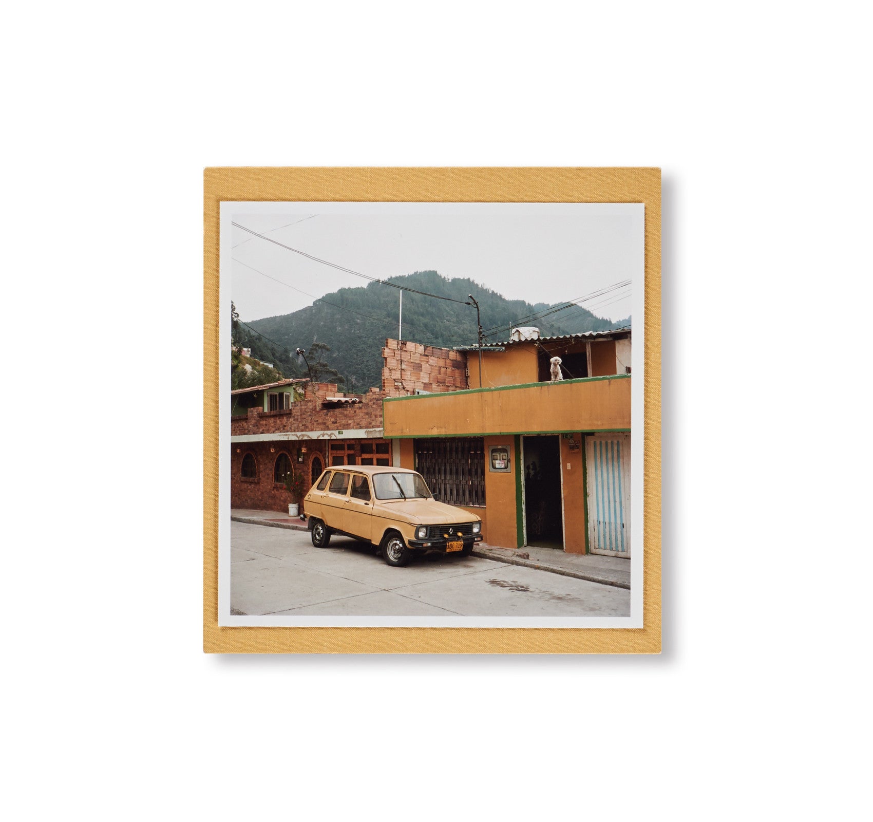 DOG DAYS BOGOTÁ by Alec Soth [SPECIAL EDITION]