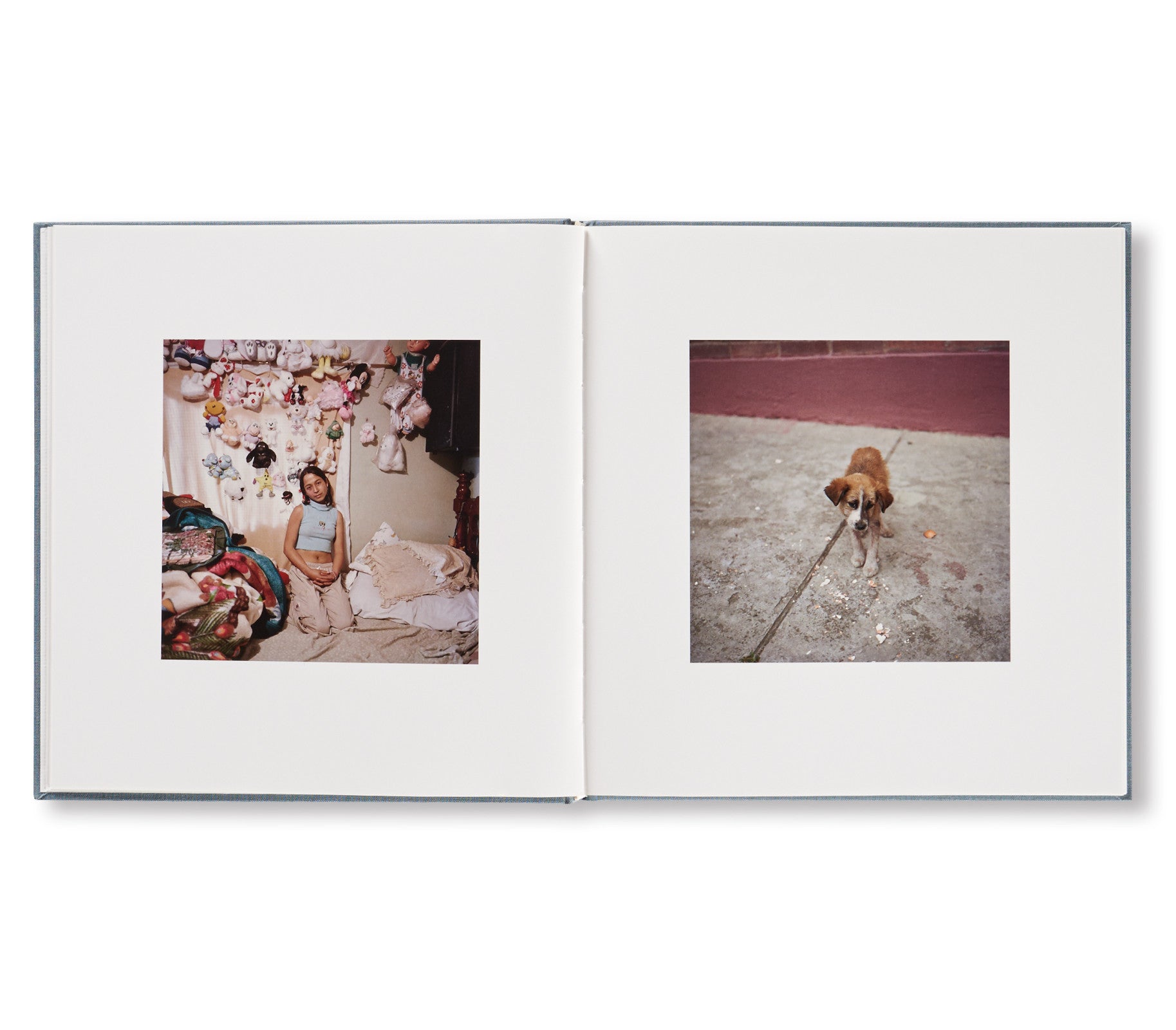 DOG DAYS BOGOTÁ by Alec Soth [SPECIAL EDITION]