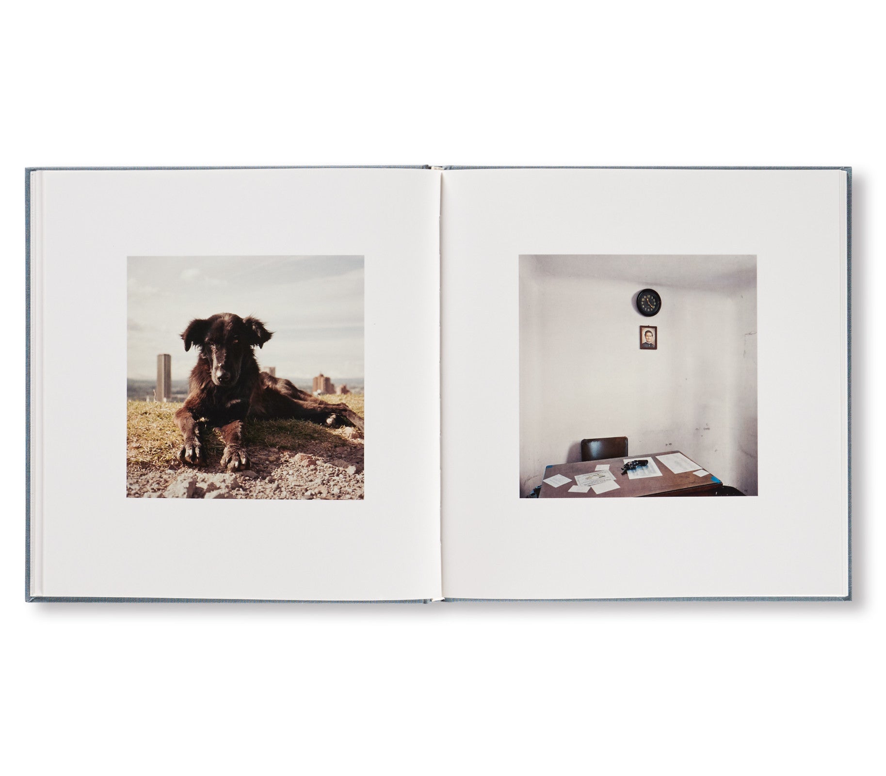 DOG DAYS BOGOTÁ by Alec Soth [SPECIAL EDITION]