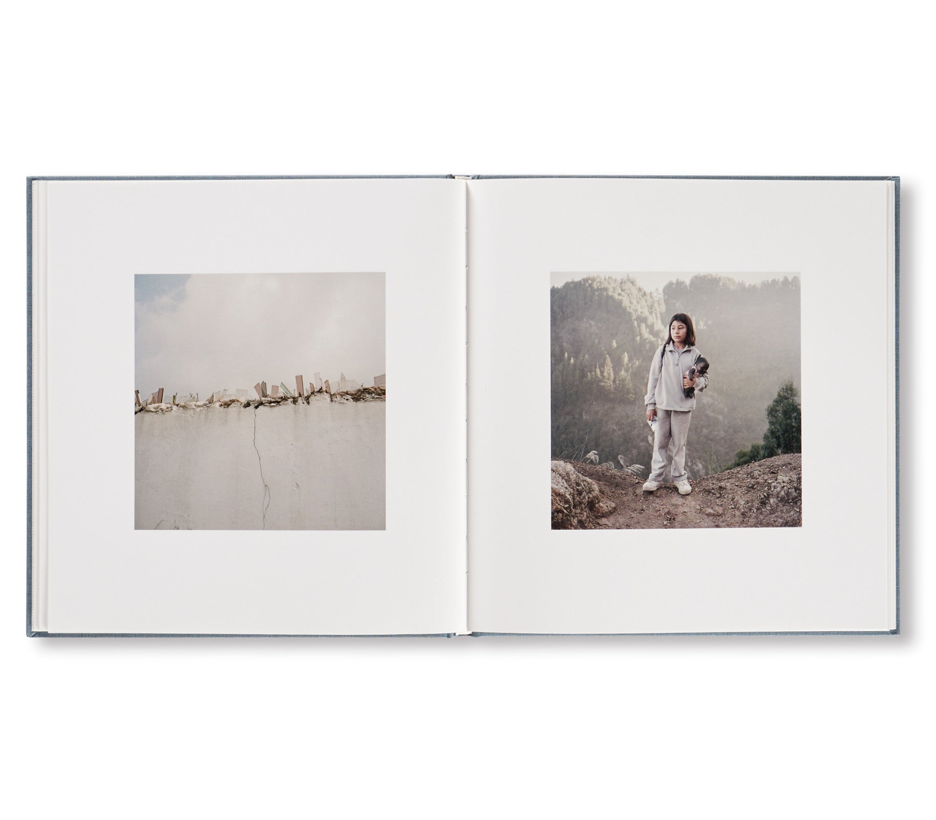 DOG DAYS BOGOTÁ by Alec Soth [SPECIAL EDITION]