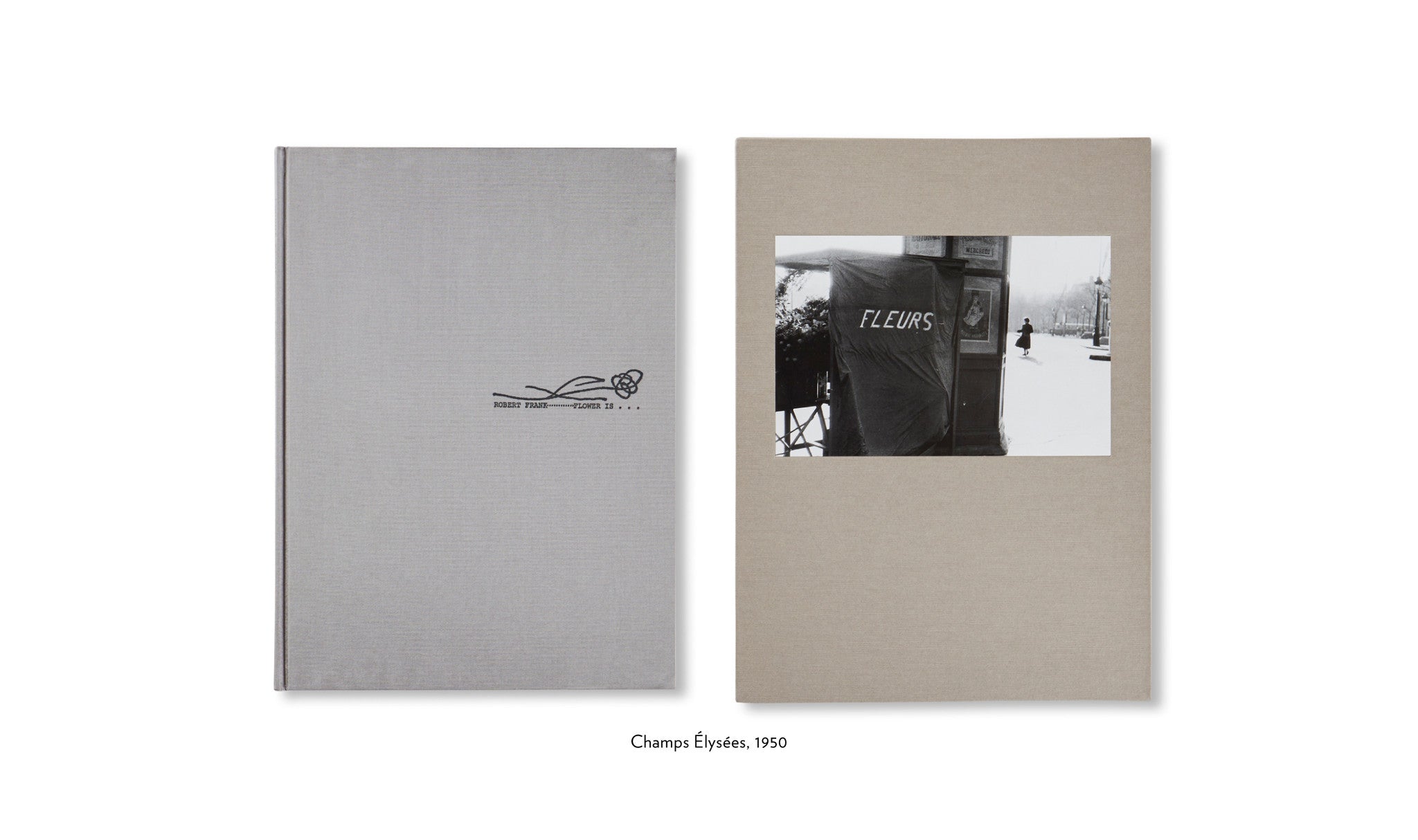 FLOWER IS… by Robert Frank