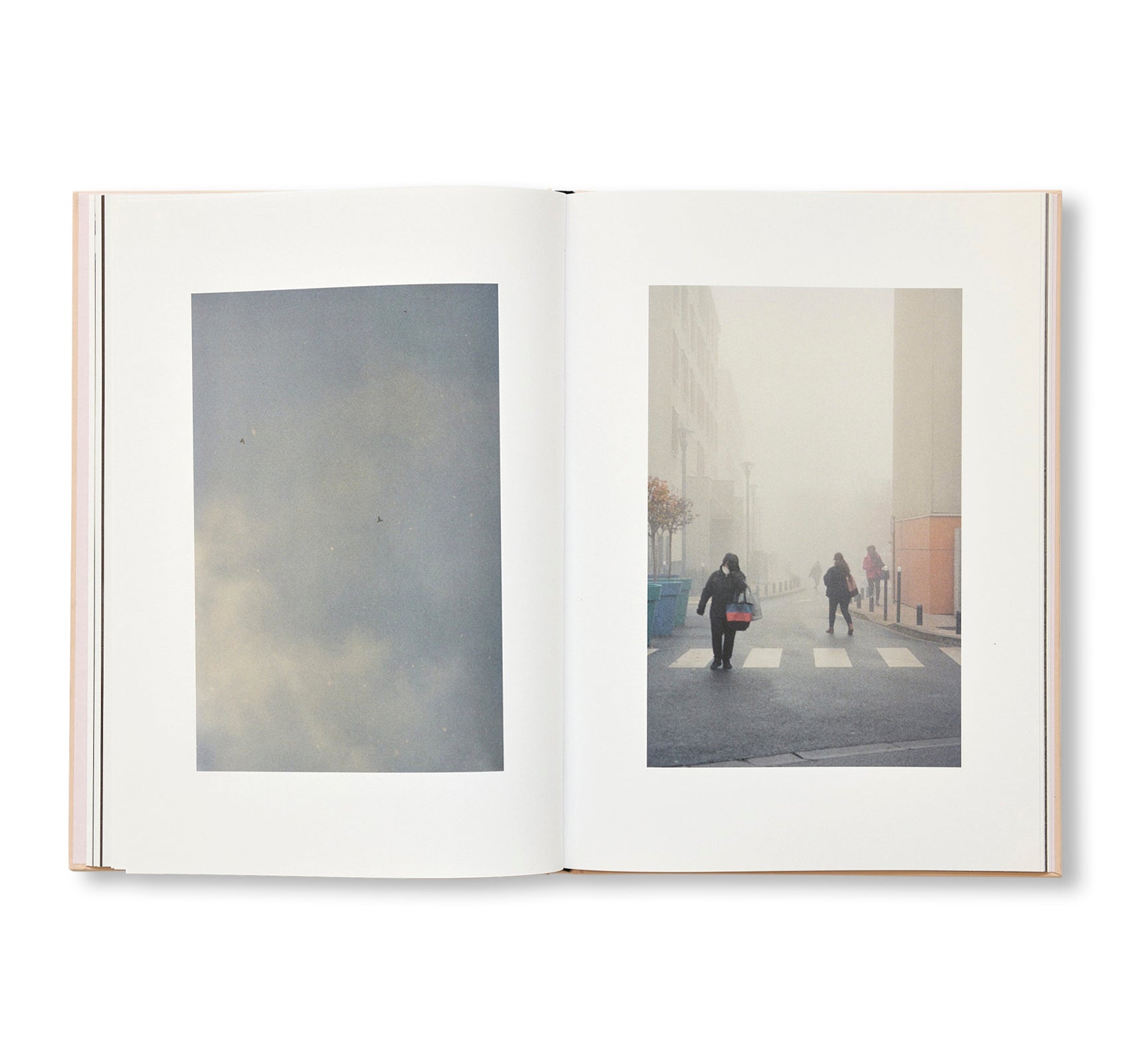 THE CLOUD, THE BIRD AND THE PUDDLE by Ola Rindal [SIGNED]