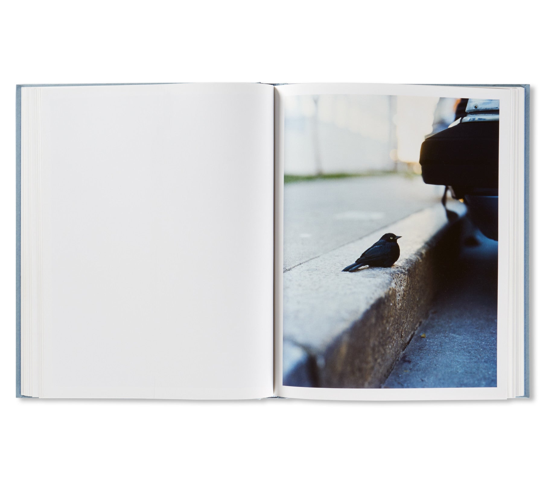 ZZYZX by Gregory Halpern [FIRST EDITION, SECOND PRINTING]