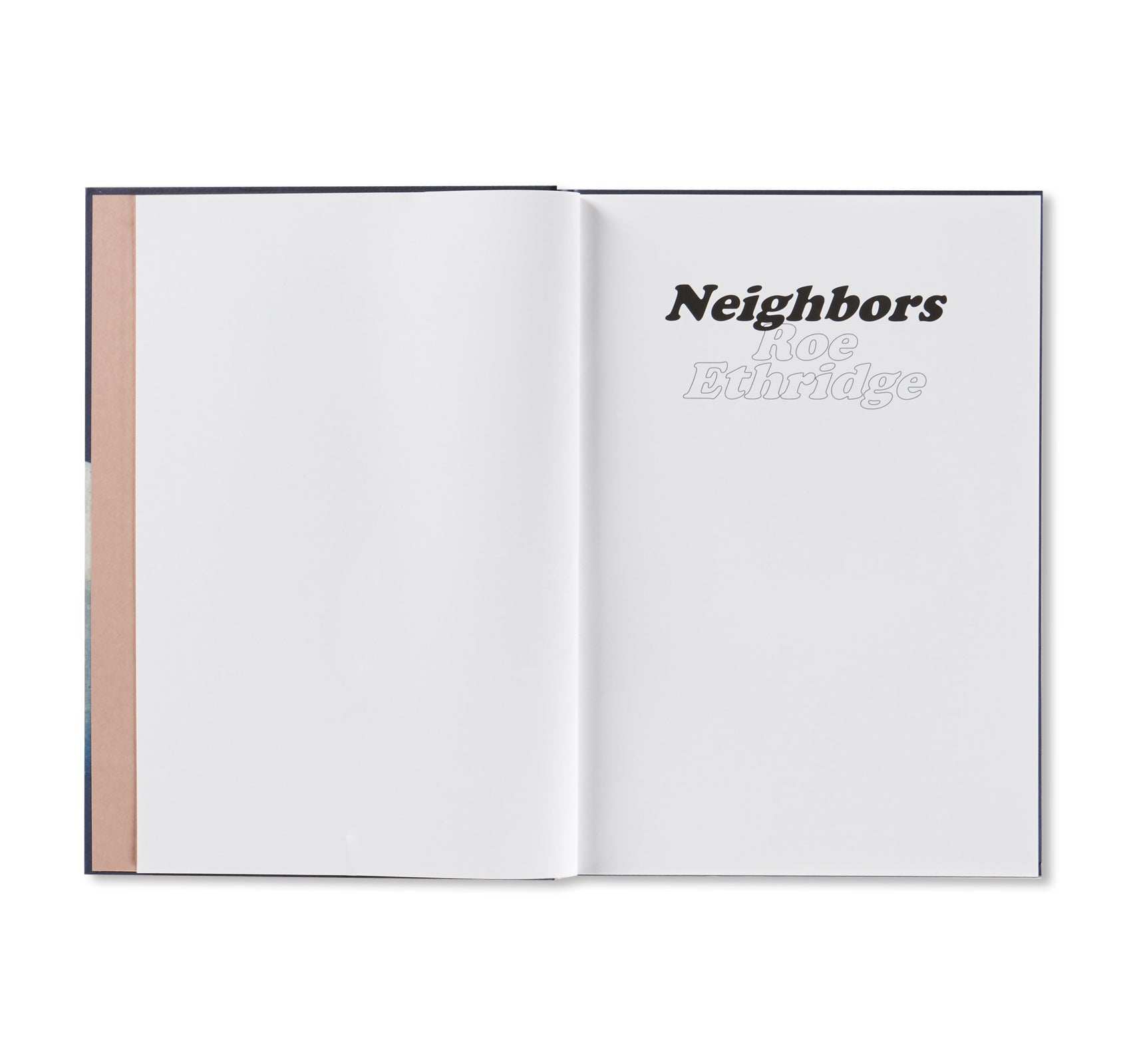 NEIGHBORS by Roe Ethridge