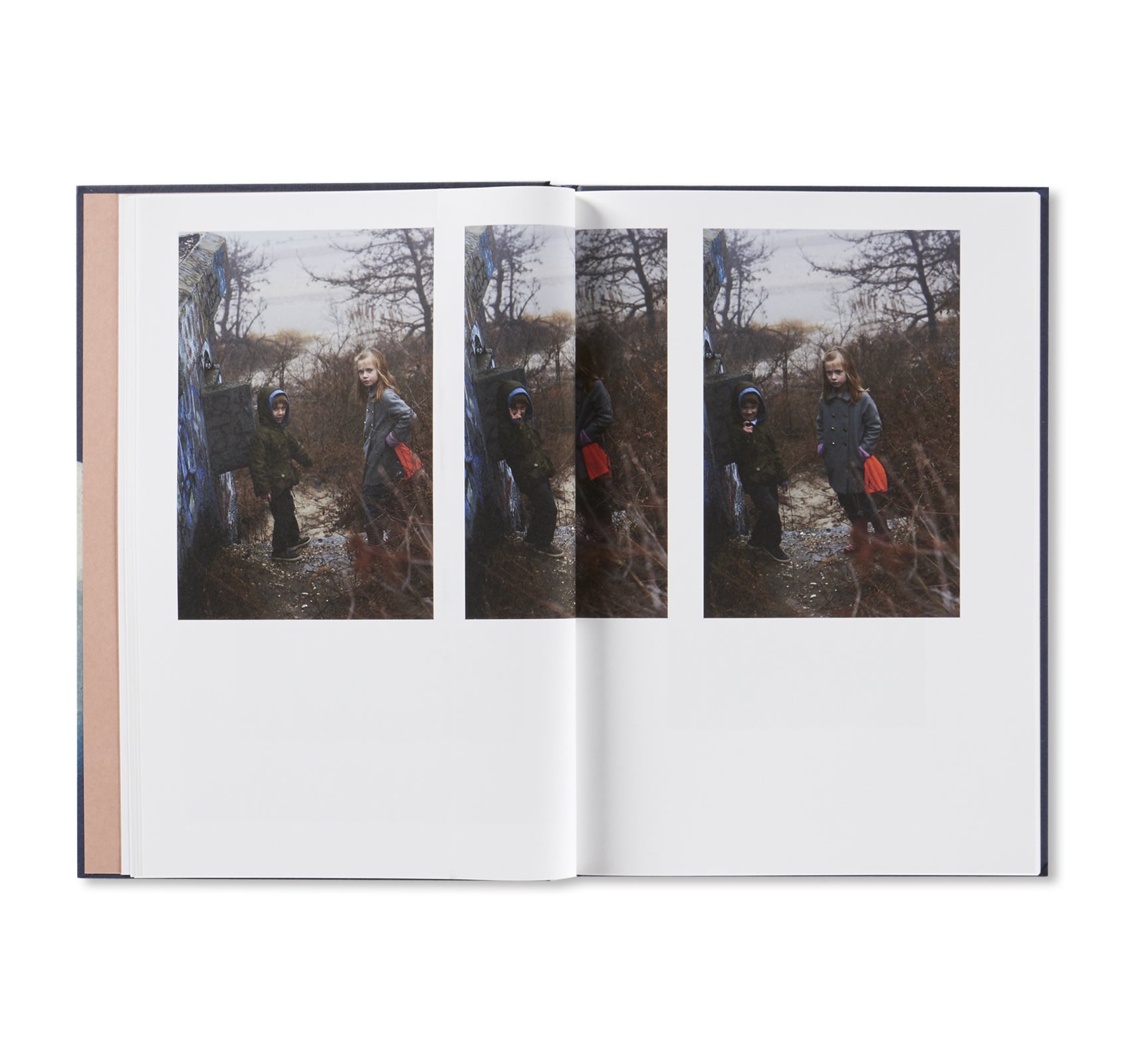 NEIGHBORS by Roe Ethridge