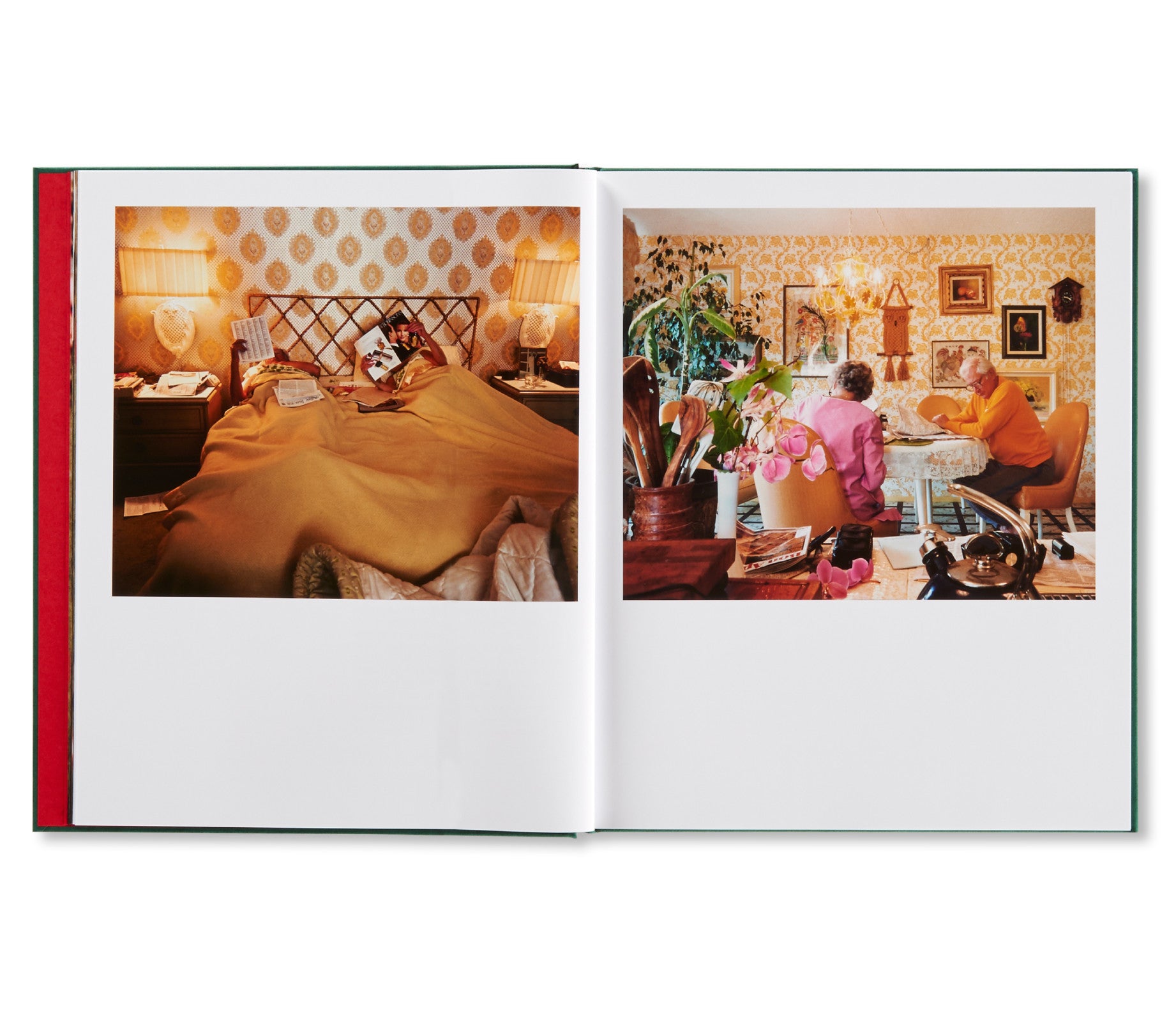 PICTURES FROM HOME by Larry Sultan