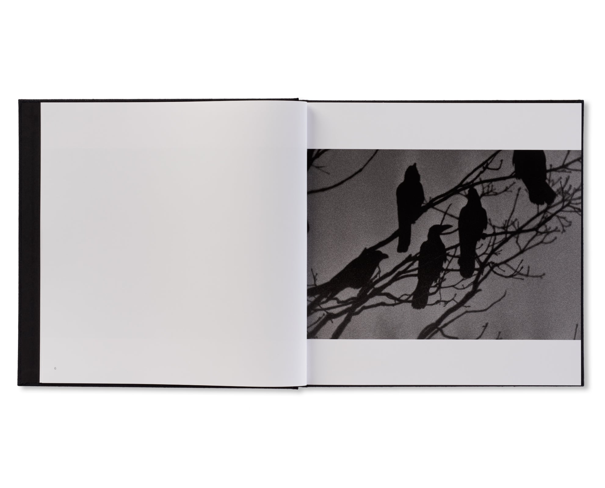 鴉 / RAVENS by Masahisa Fukase