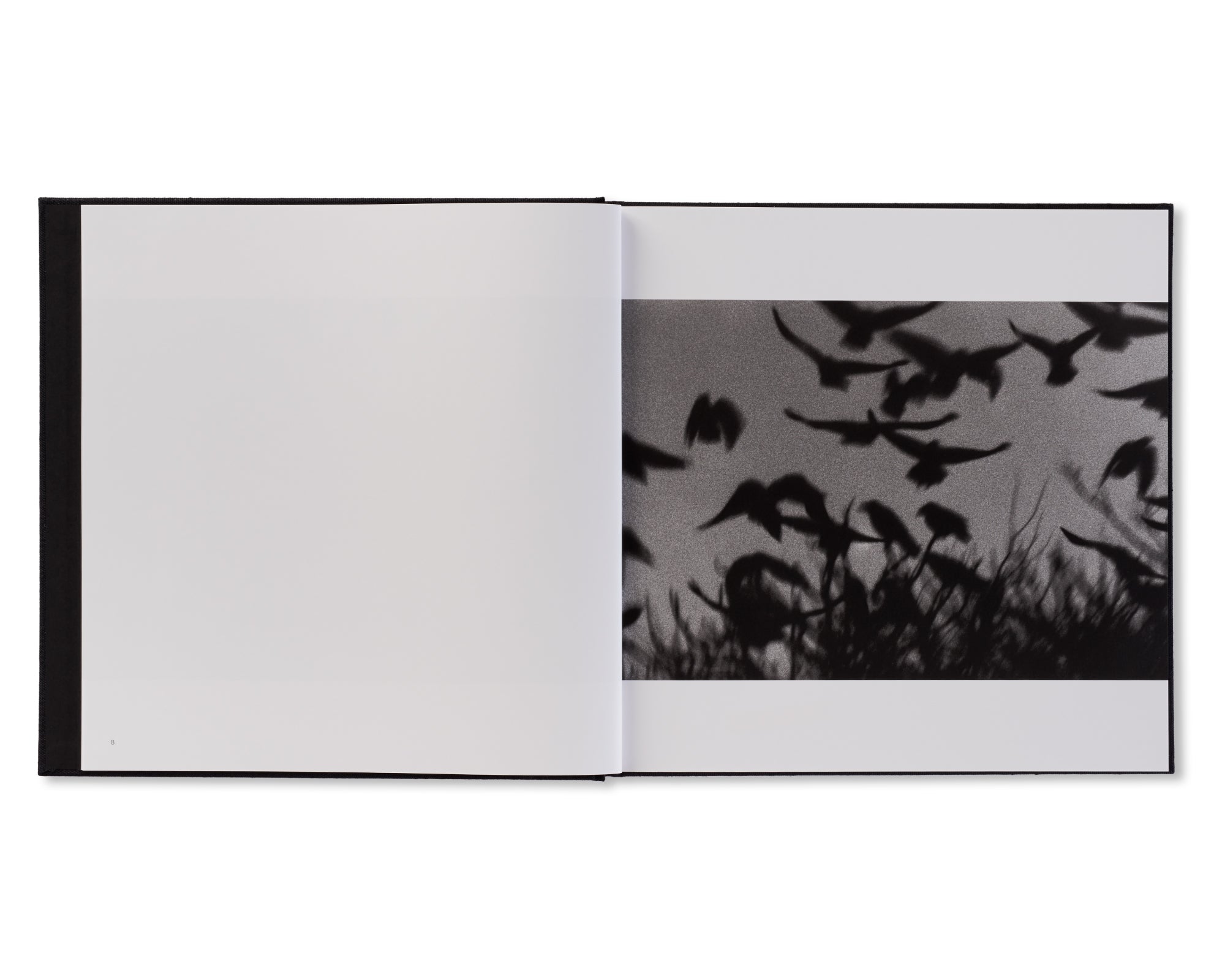 鴉 / RAVENS by Masahisa Fukase