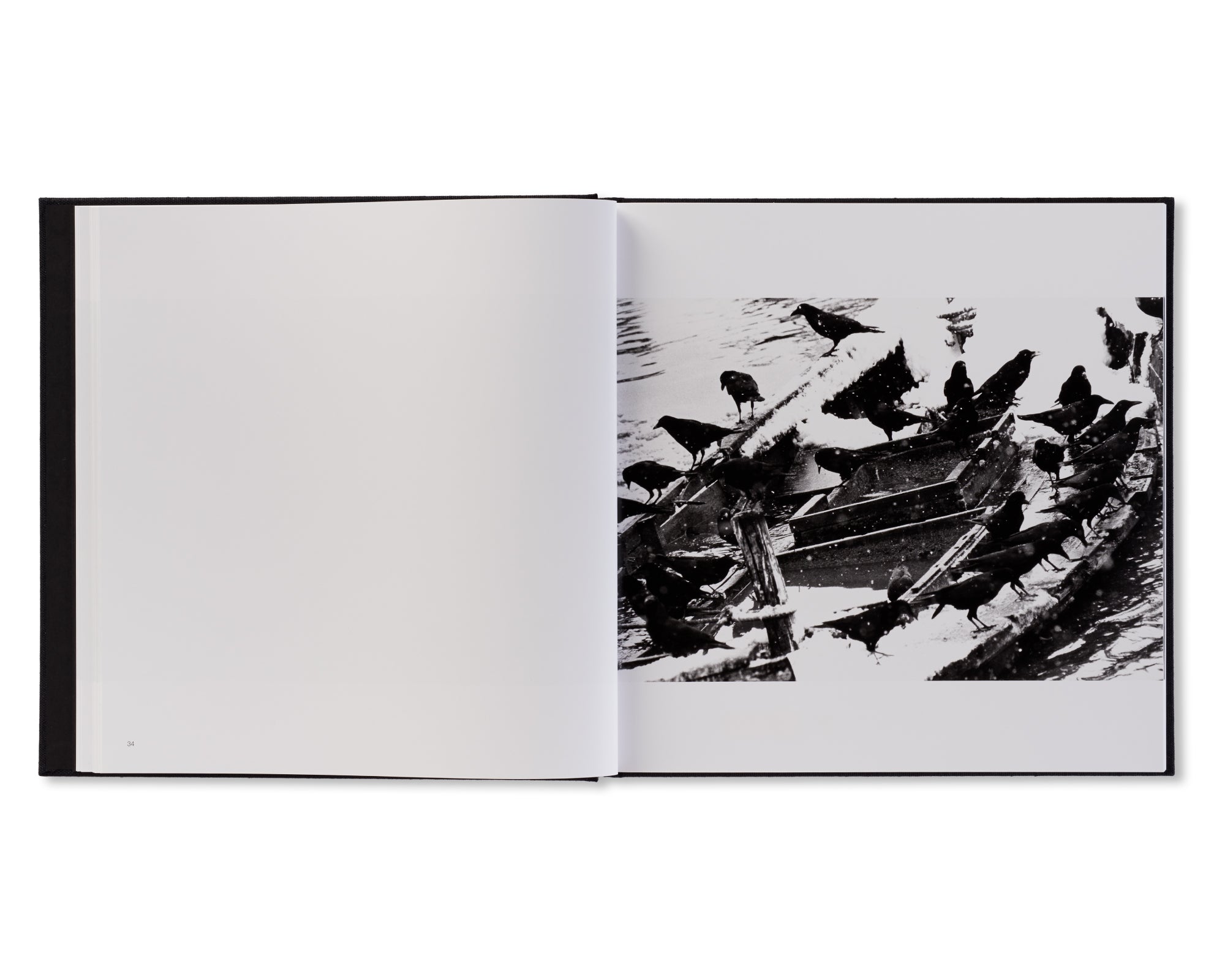 鴉 / RAVENS by Masahisa Fukase