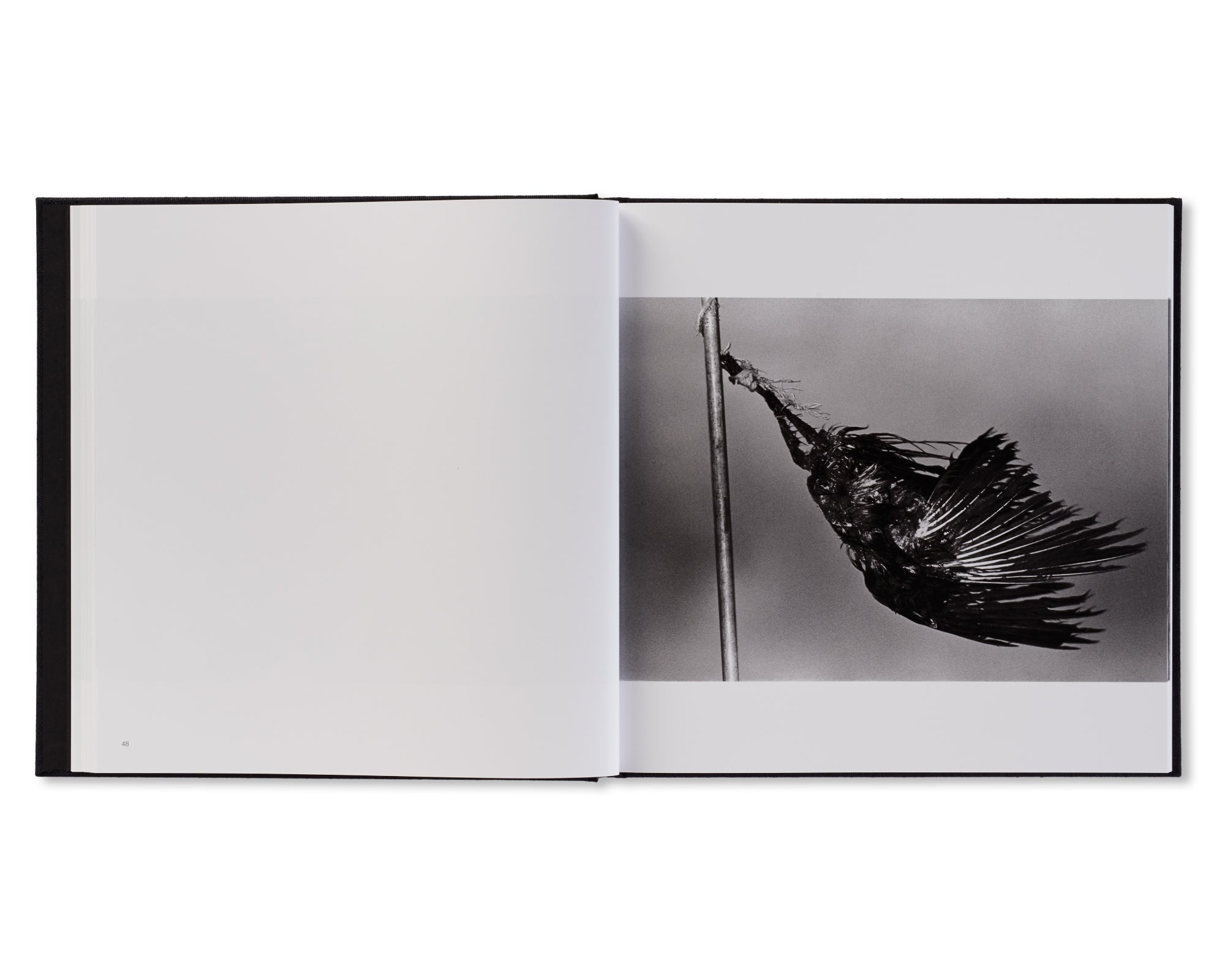 鴉 / RAVENS by Masahisa Fukase