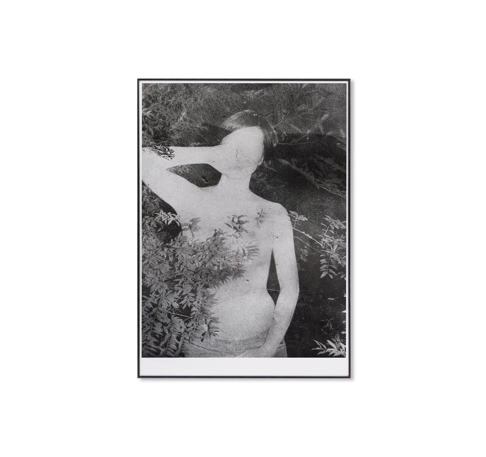 UNTITLED, 2014 by Daisuke Yokota [EXCLUSIVE]