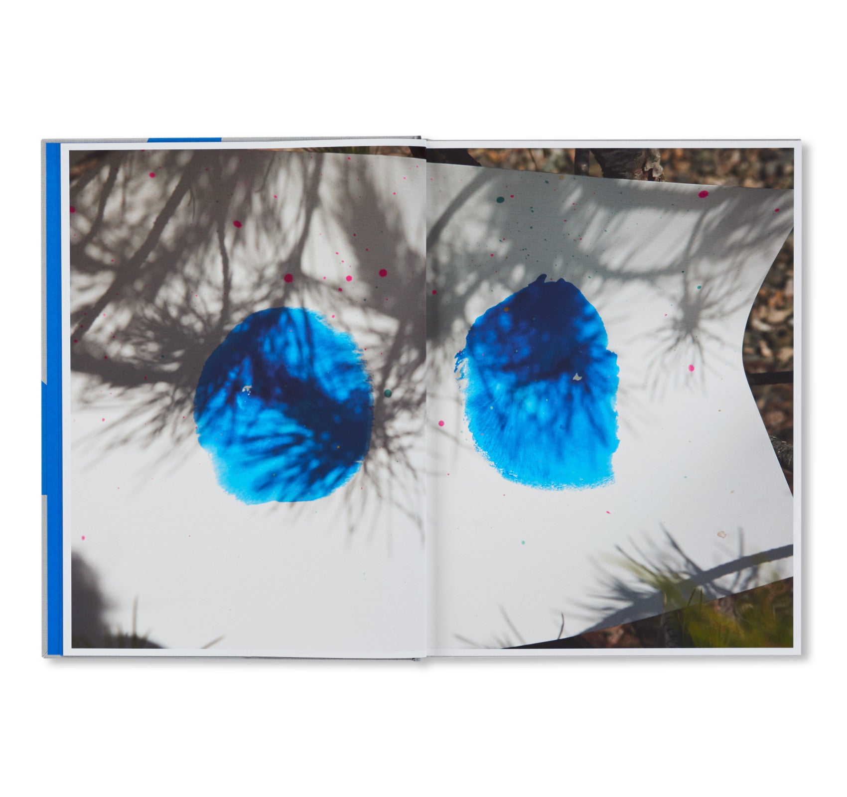 ROXANE II by Viviane Sassen [SECOND EDITION]