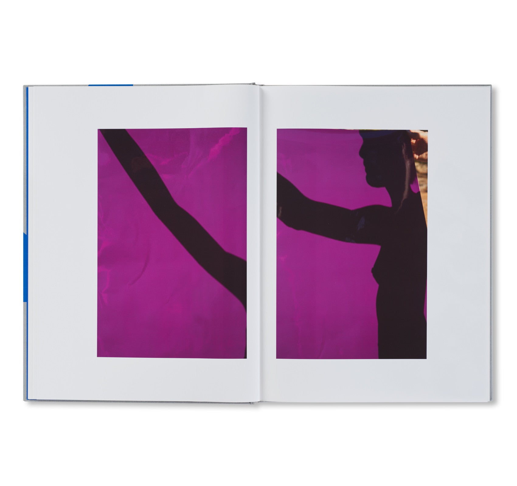 ROXANE II by Viviane Sassen [SECOND EDITION]