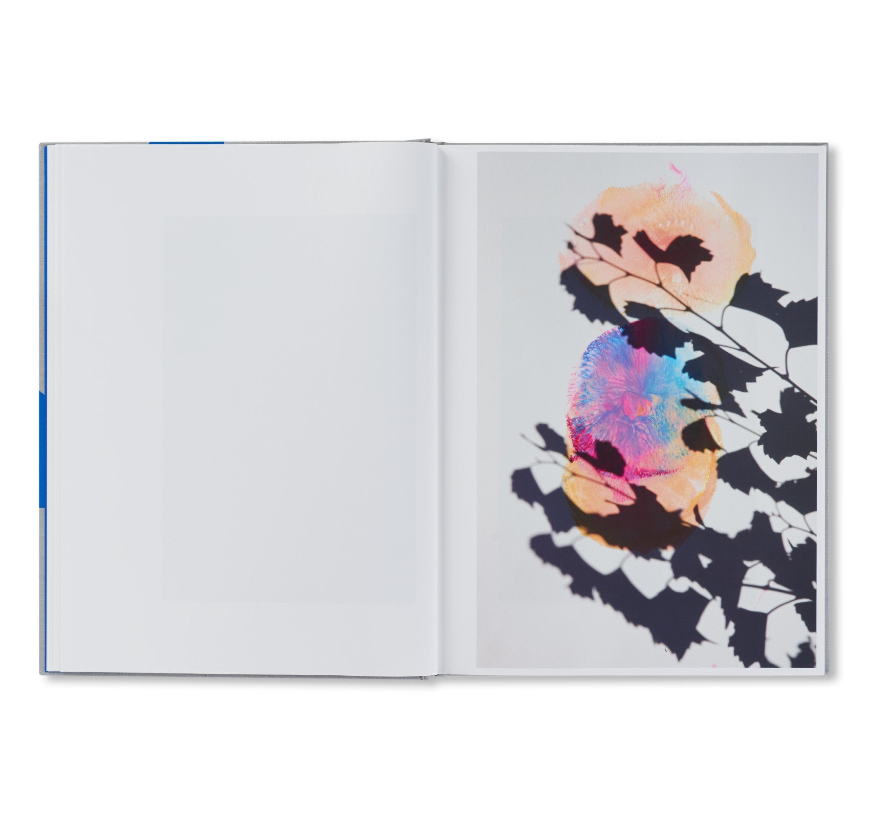 ROXANE II by Viviane Sassen [FIRST EDITION]