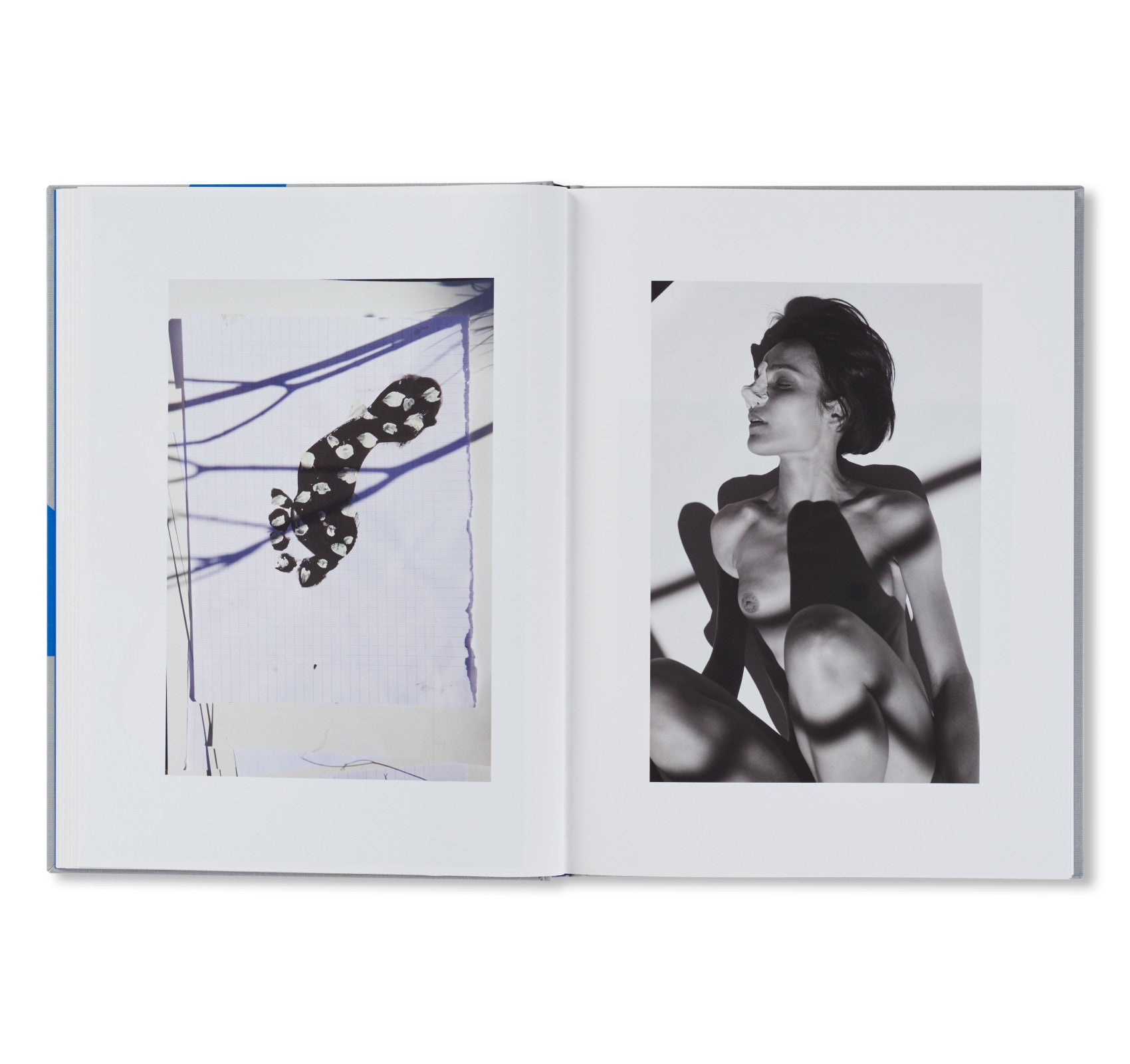 ROXANE II by Viviane Sassen [FIRST EDITION]