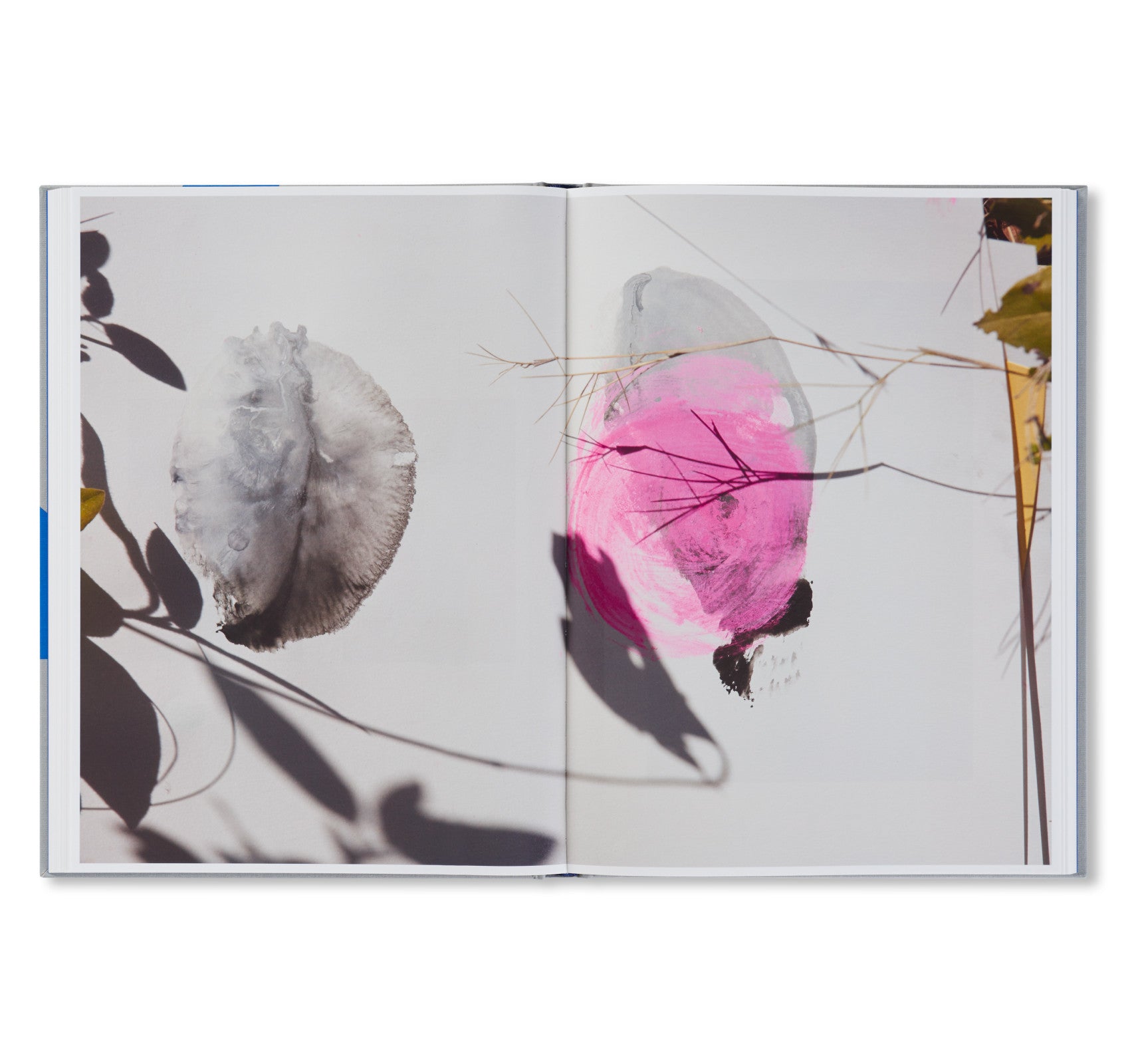 ROXANE II by Viviane Sassen [FIRST EDITION]