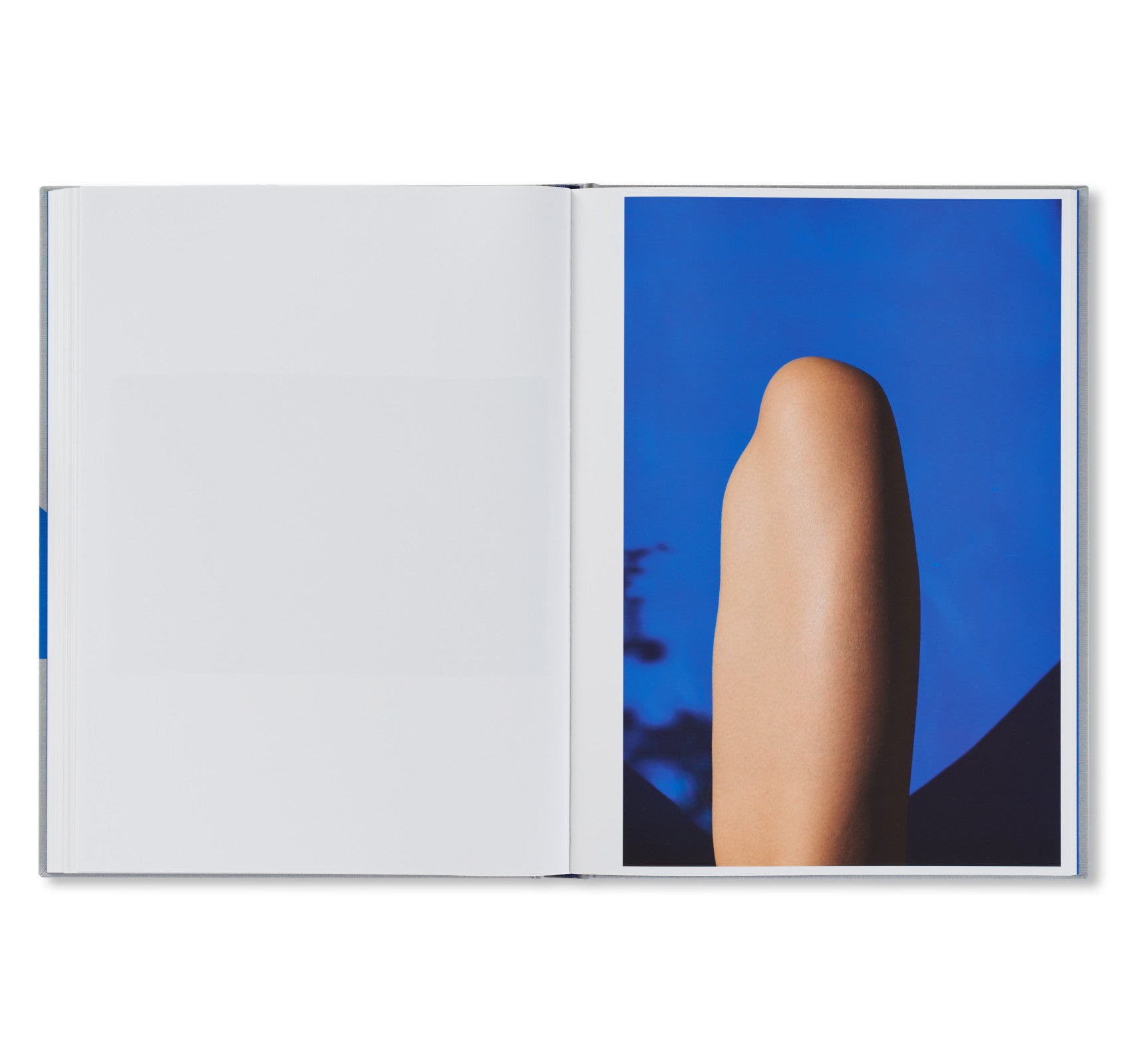 ROXANE II by Viviane Sassen [FIRST EDITION]